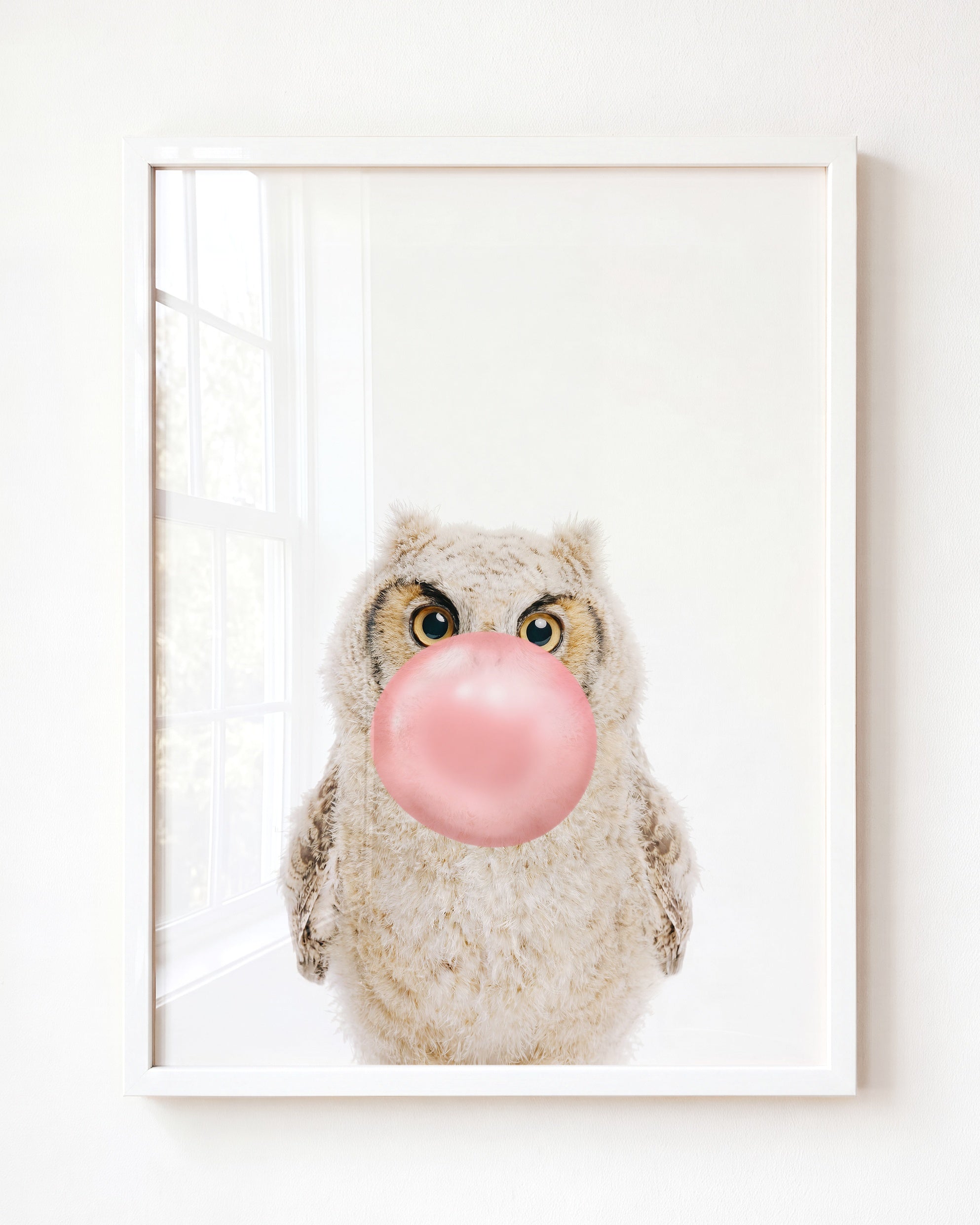 Baby Owl