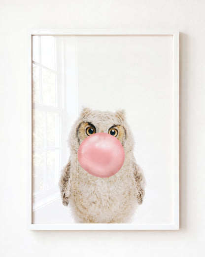 Baby Owl