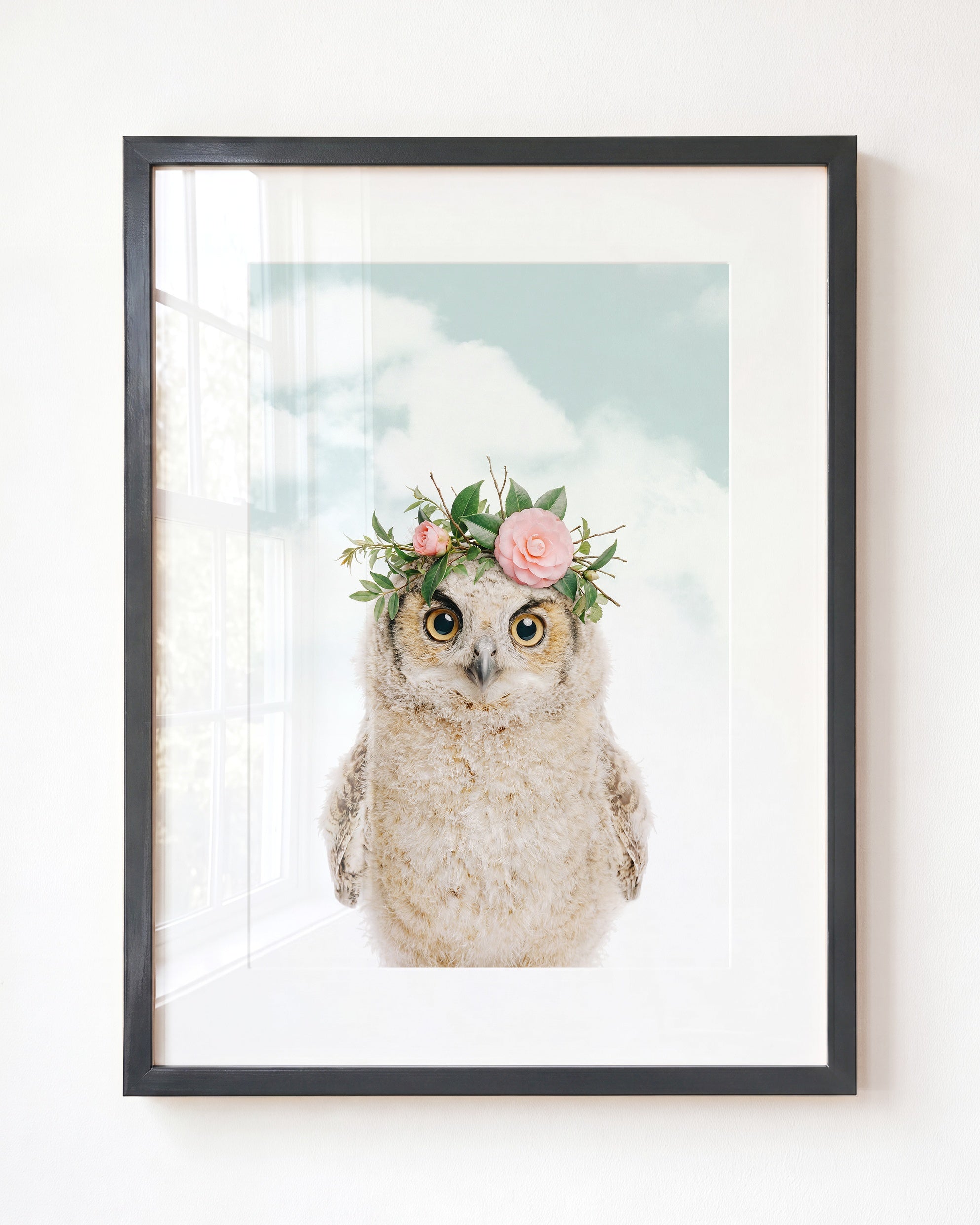 Baby Owl