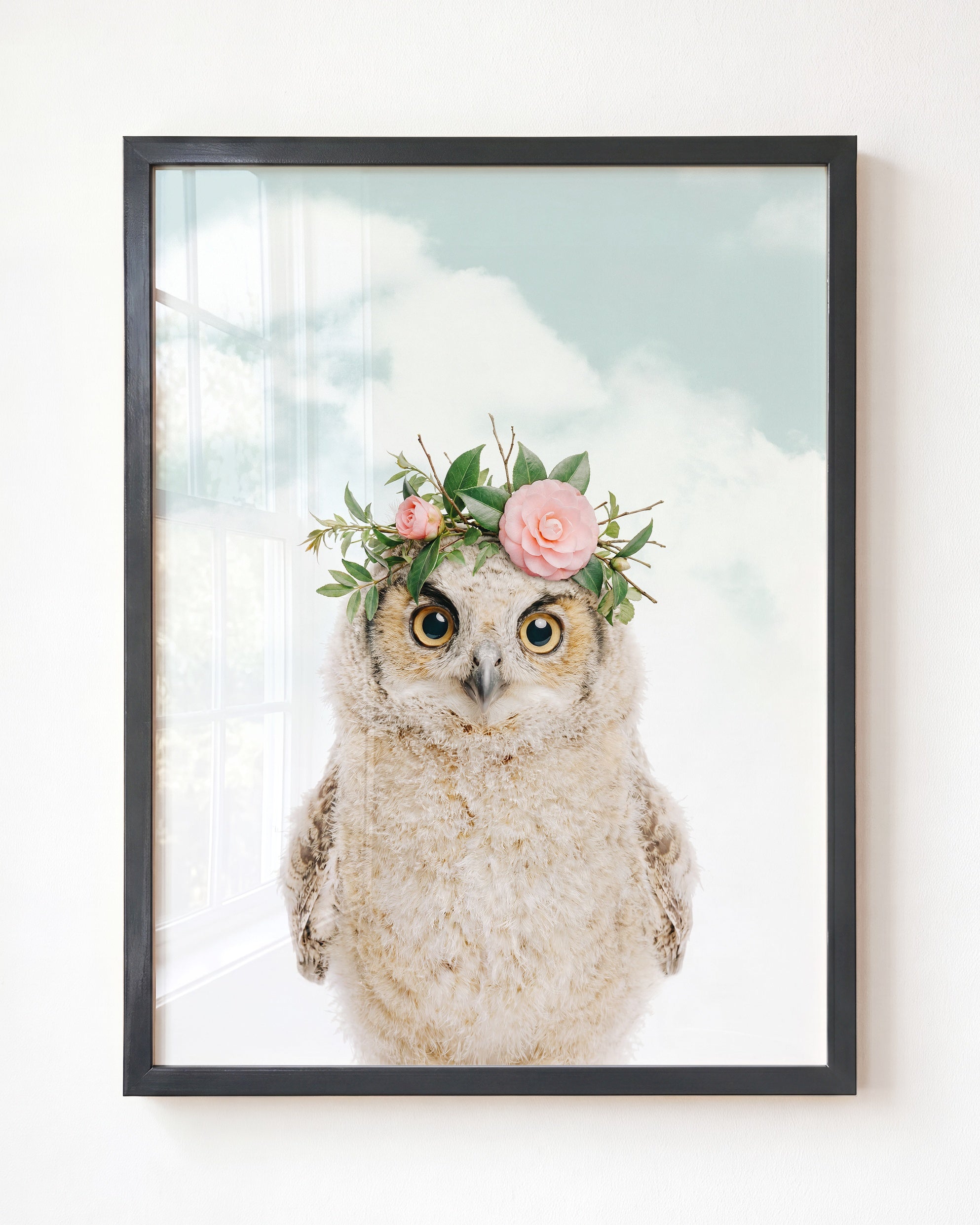 Baby Owl