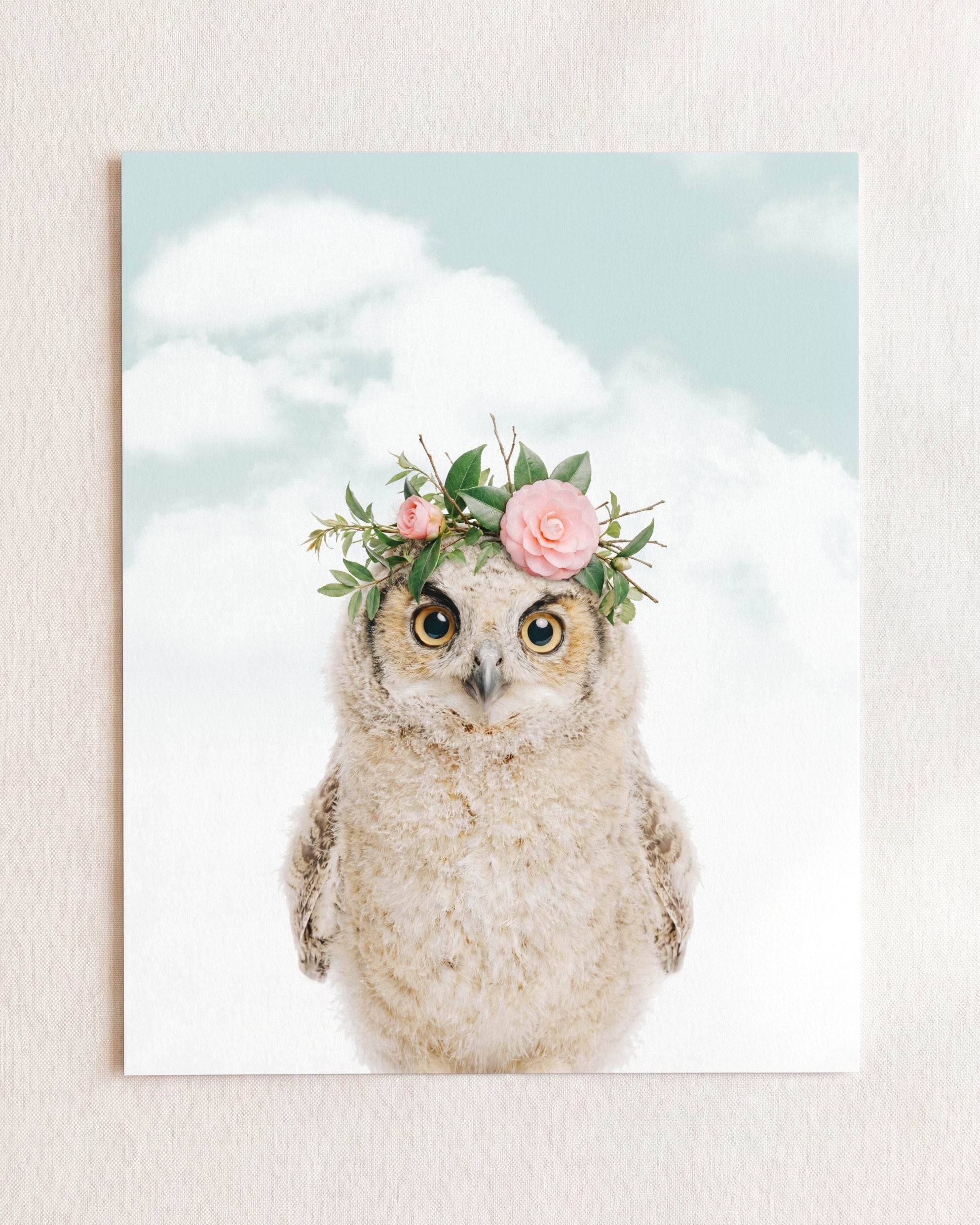 Baby Owl