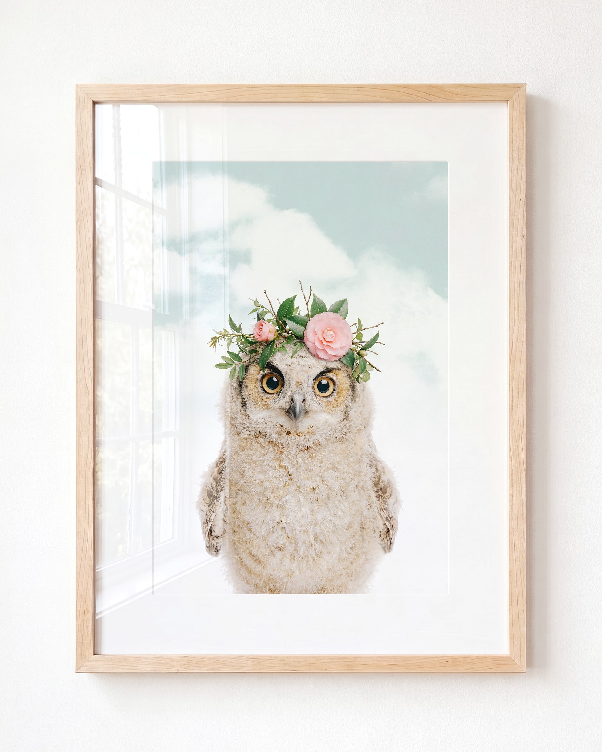 Baby Owl