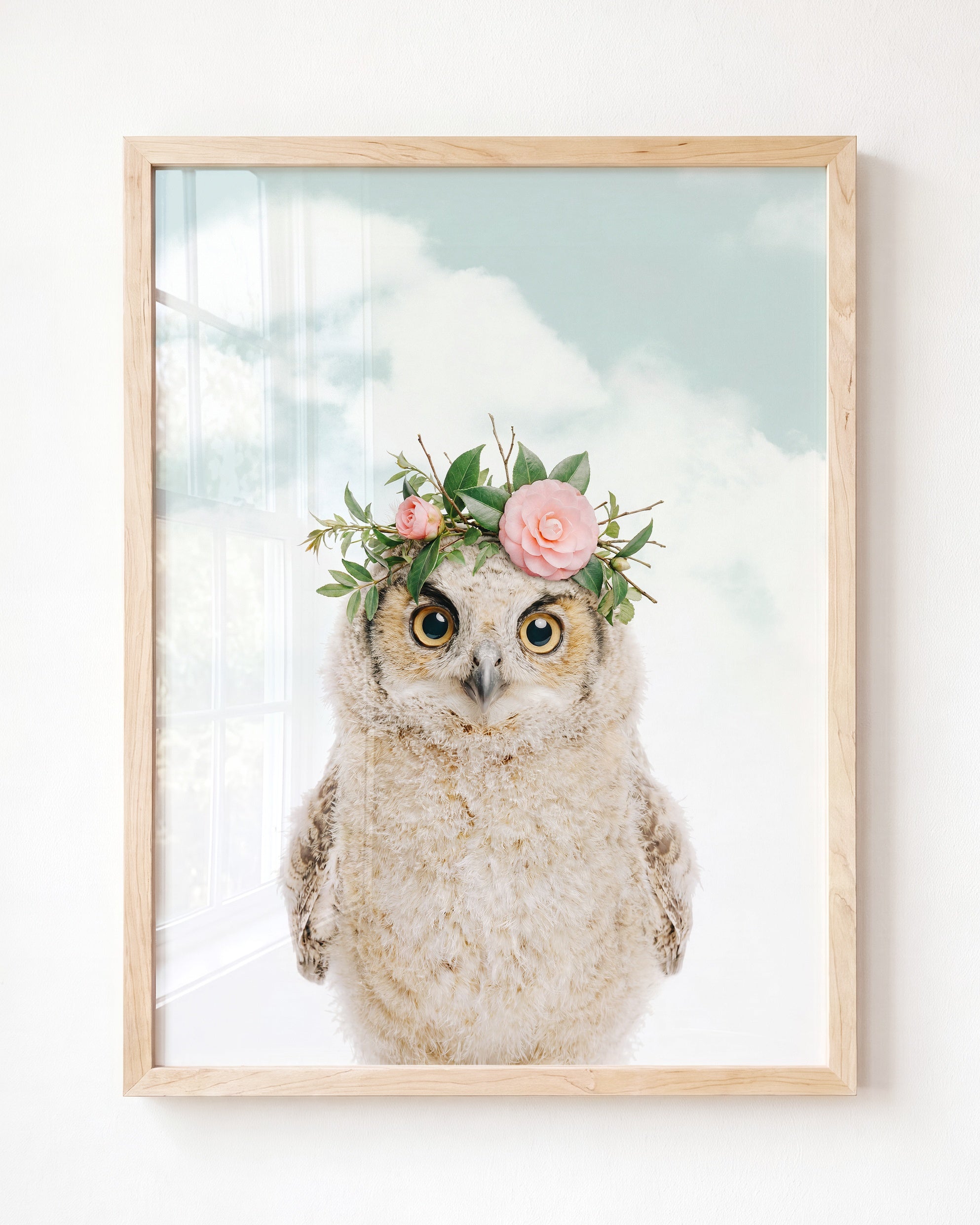 Baby Owl