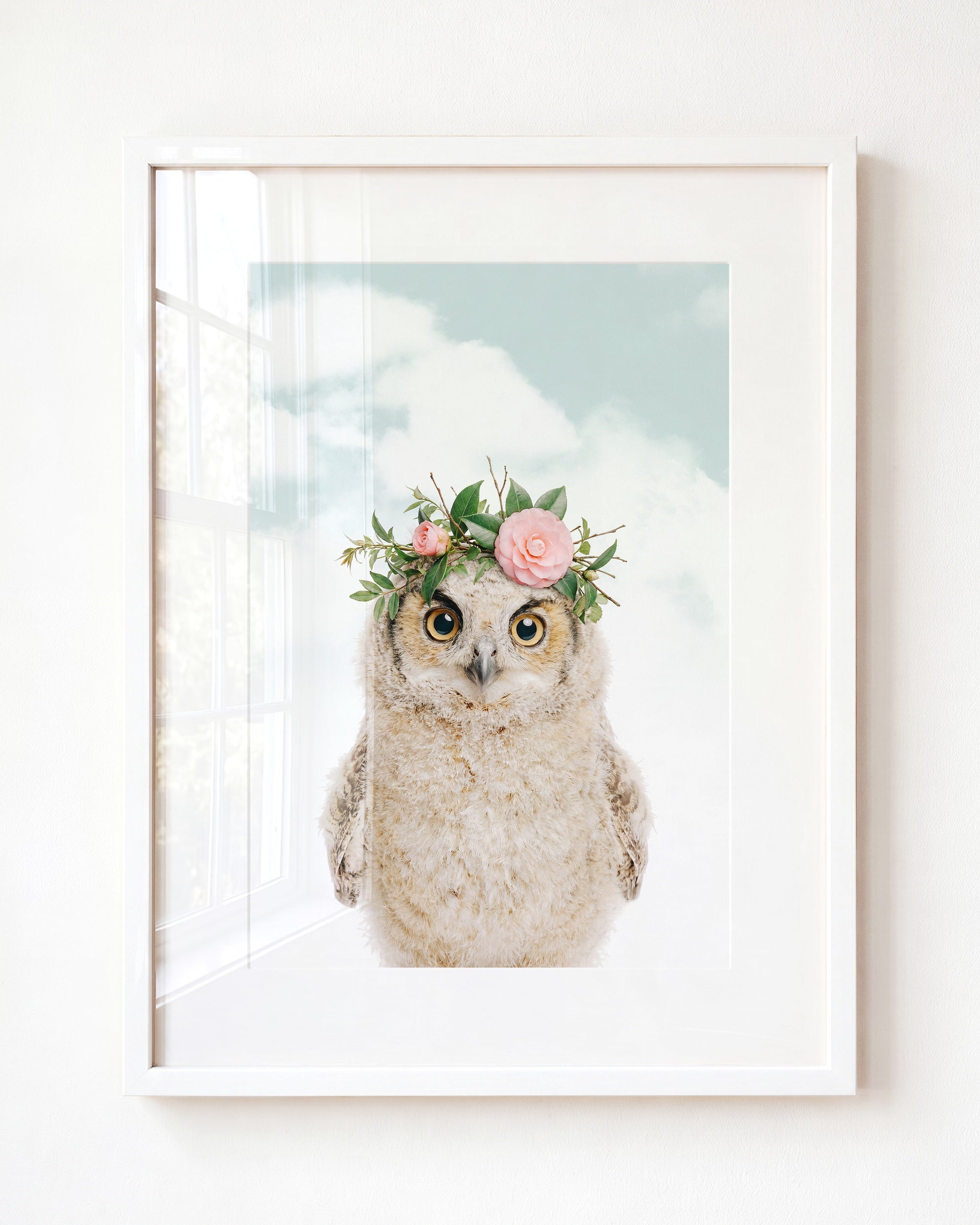 Baby Owl