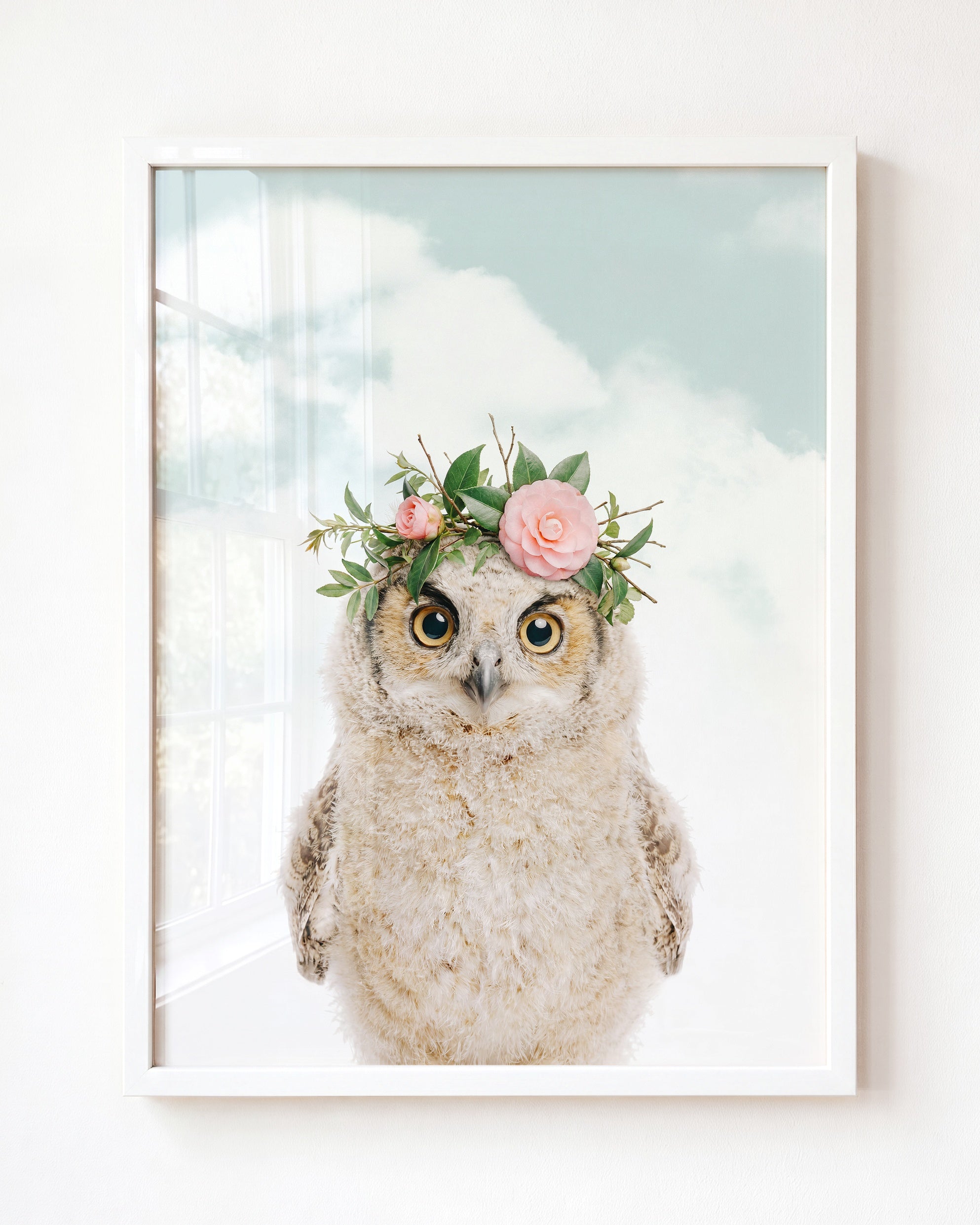 Baby Owl