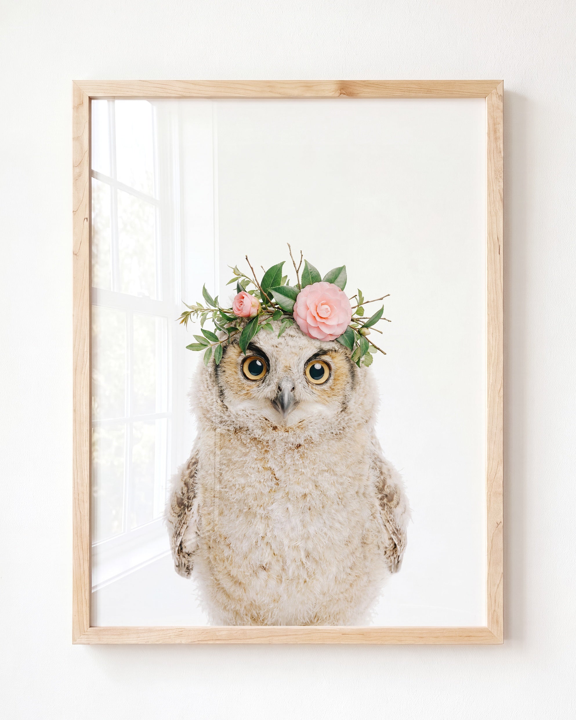 Baby Owl