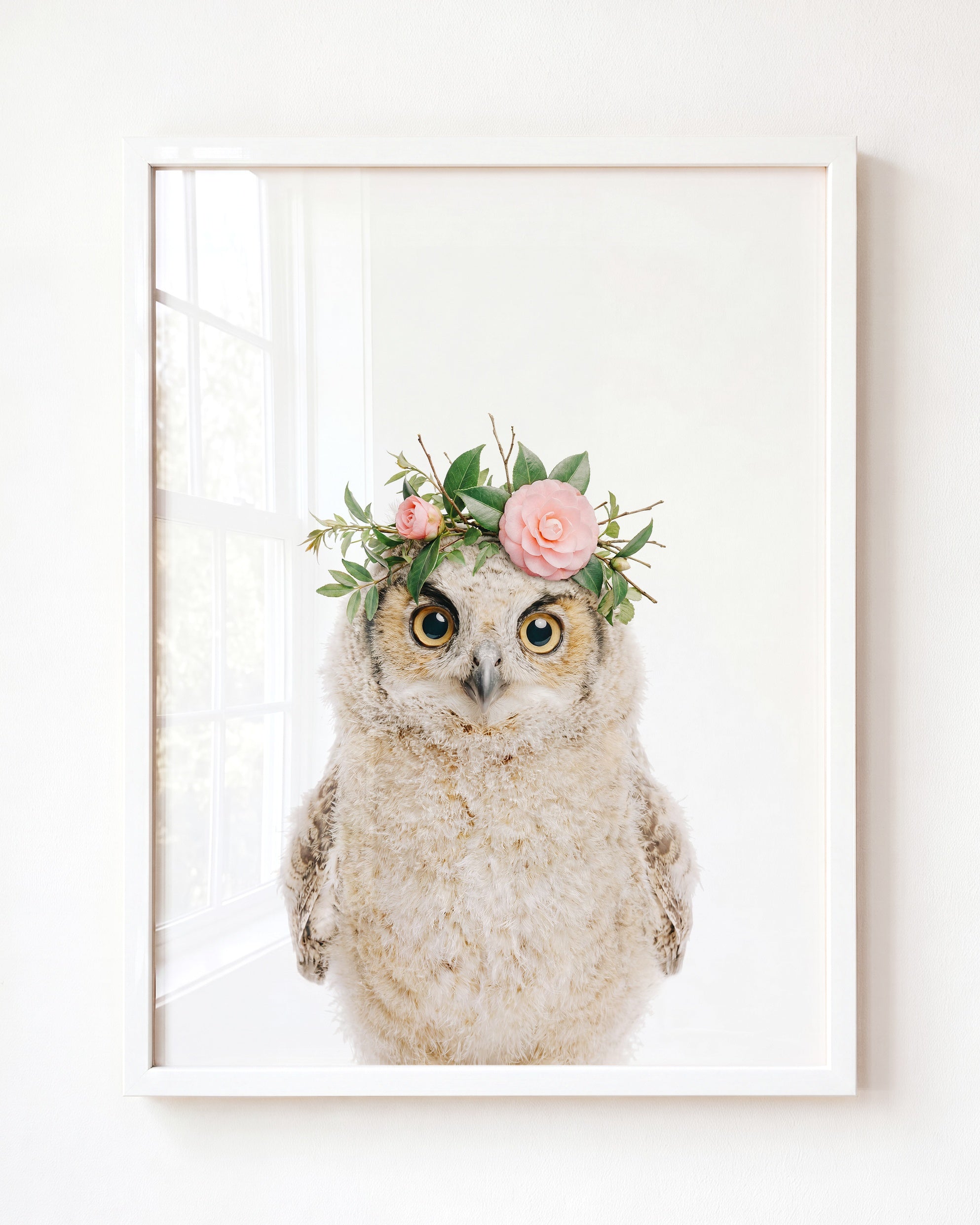 Baby Owl