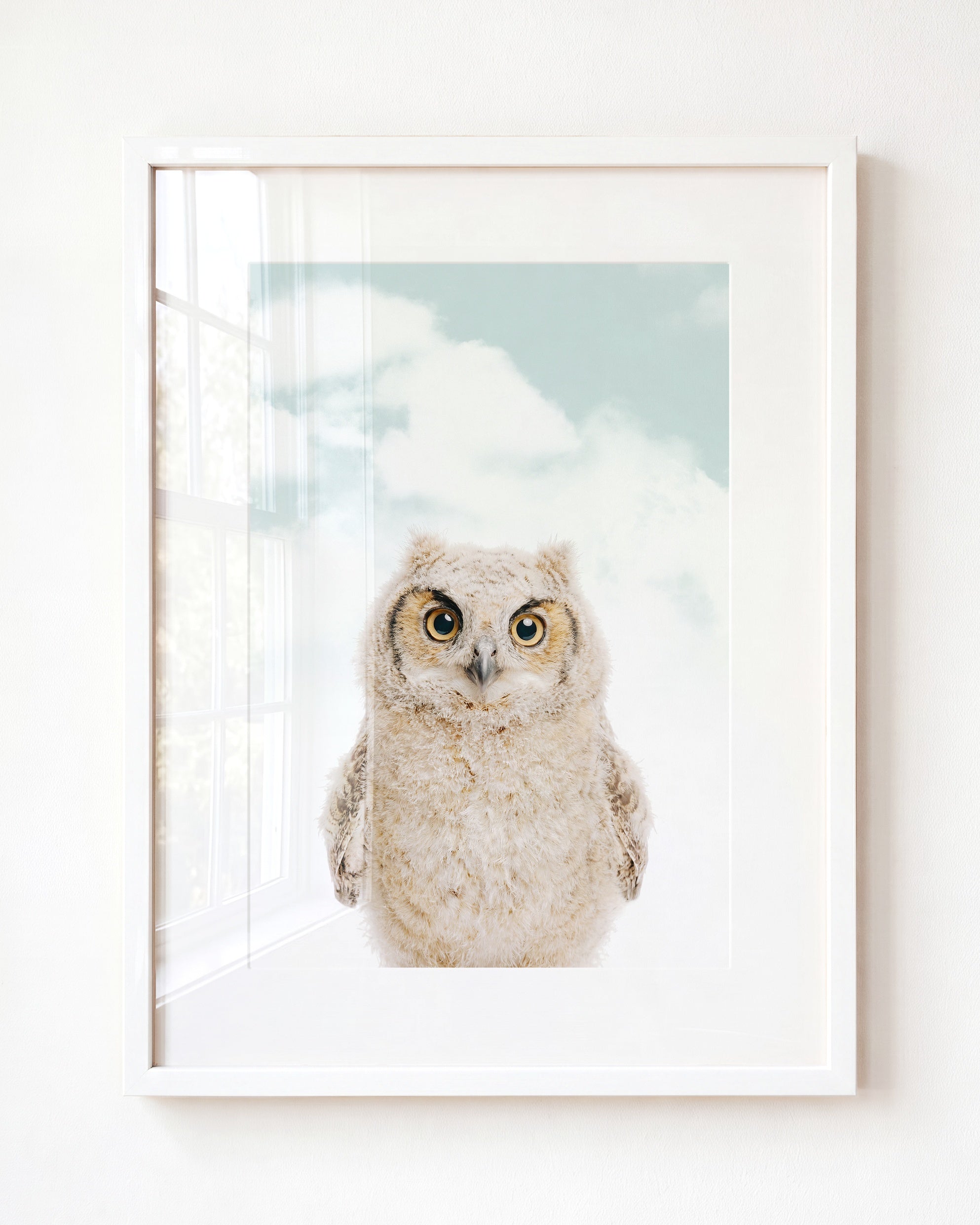 Baby Owl