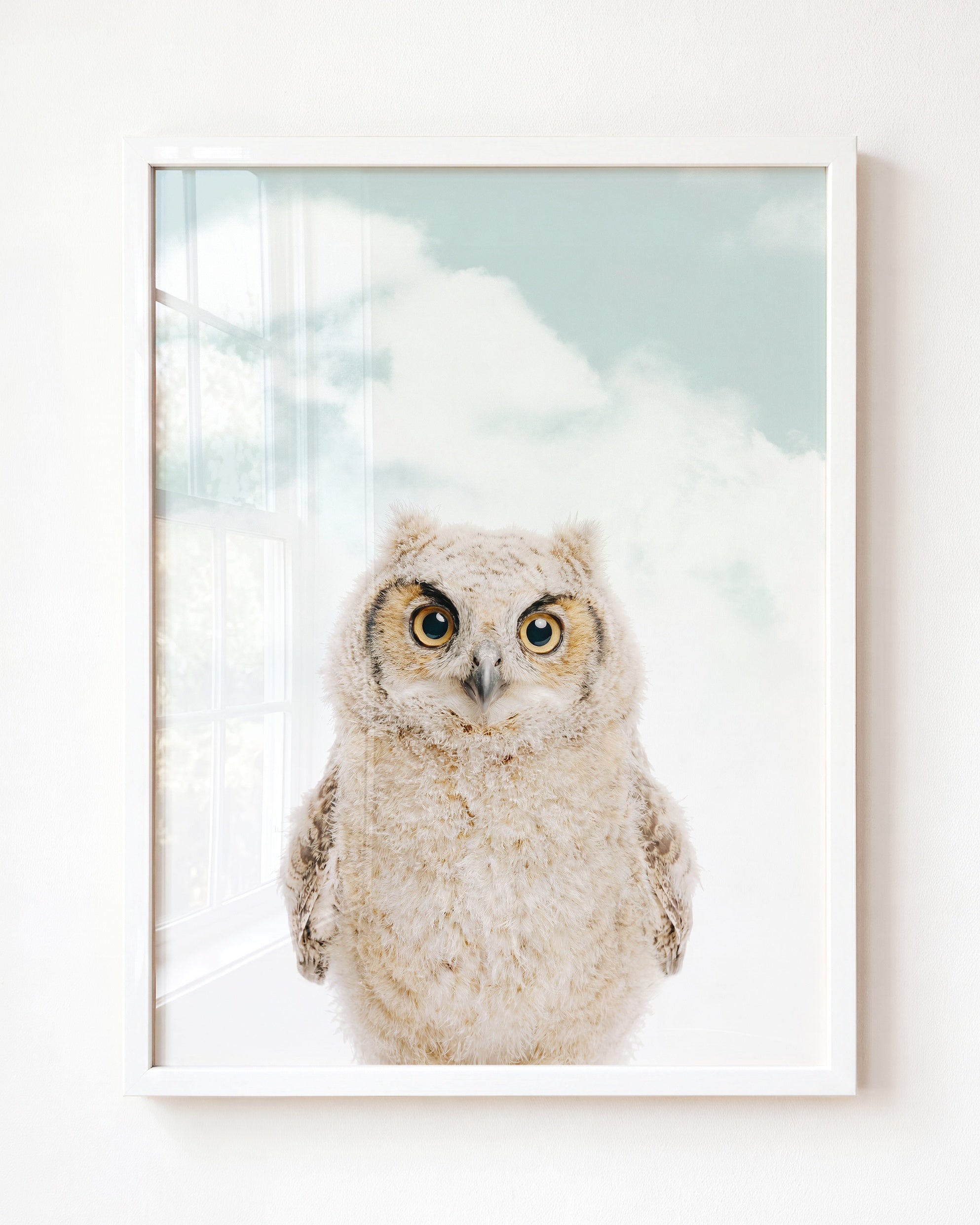 Baby Owl
