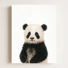 Baby Panda