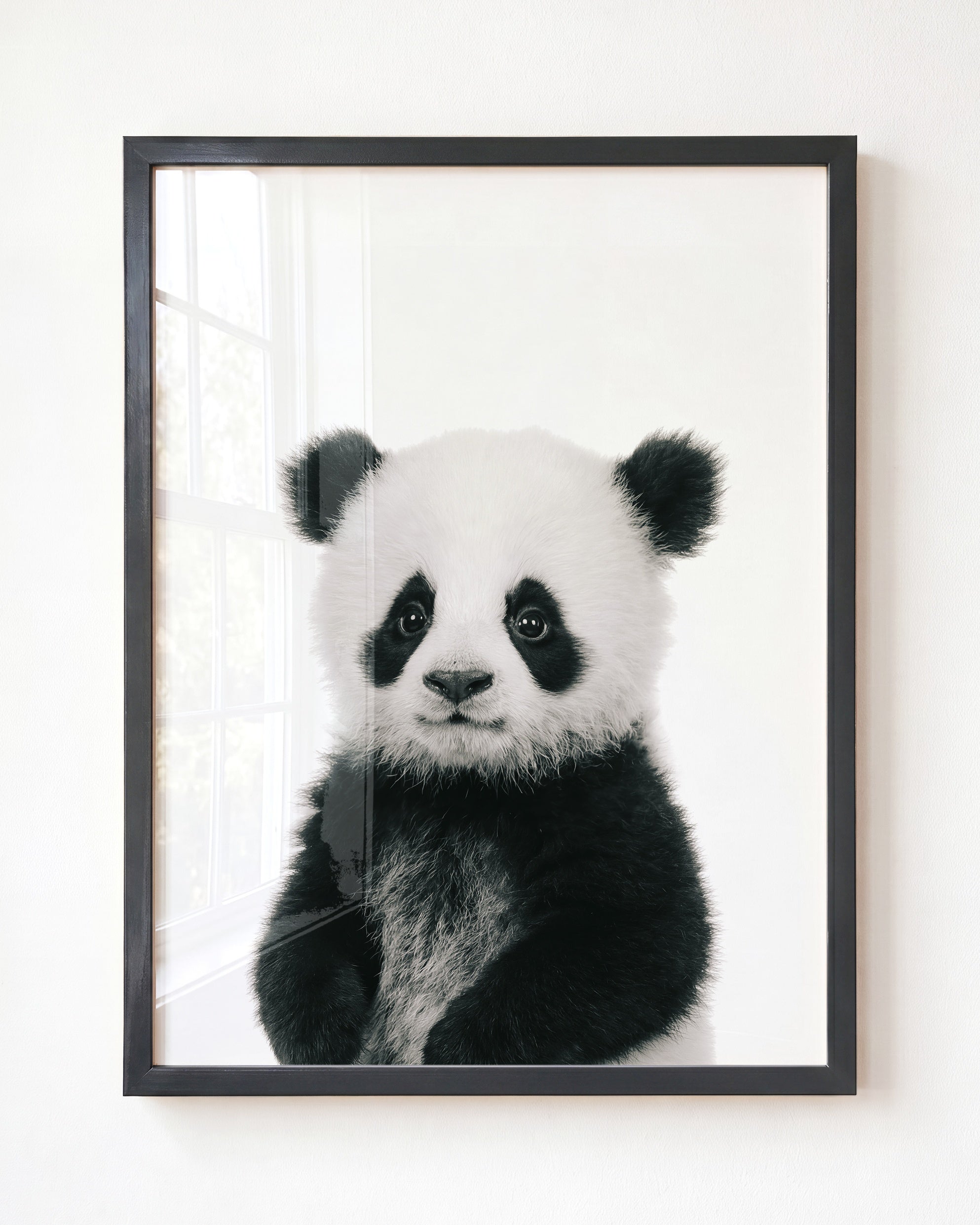 Baby Panda
