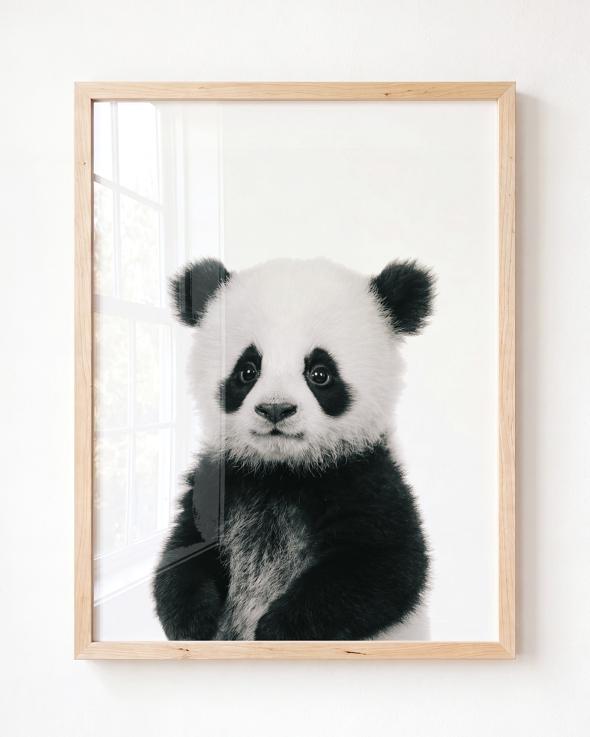 Baby Panda