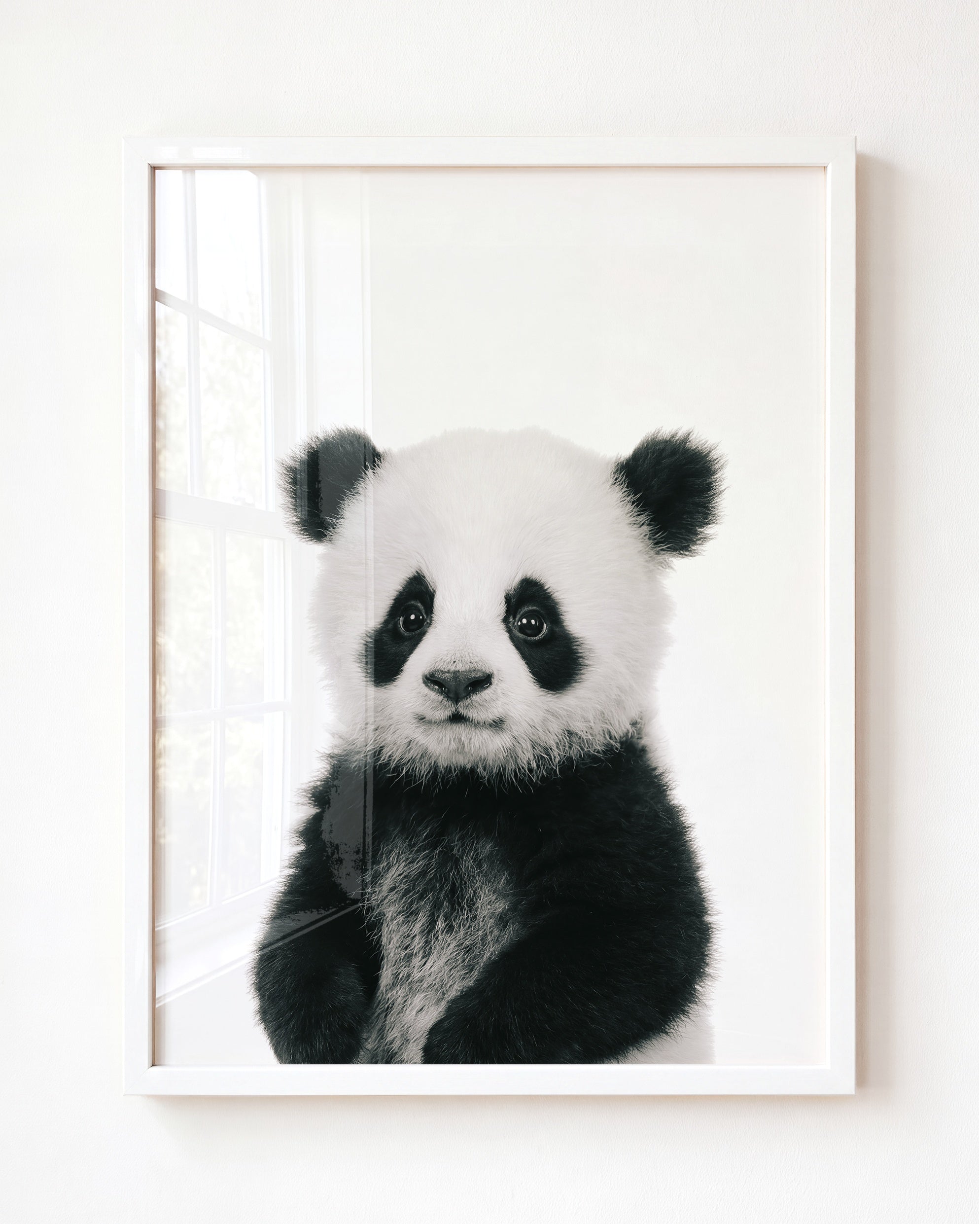 Baby Panda
