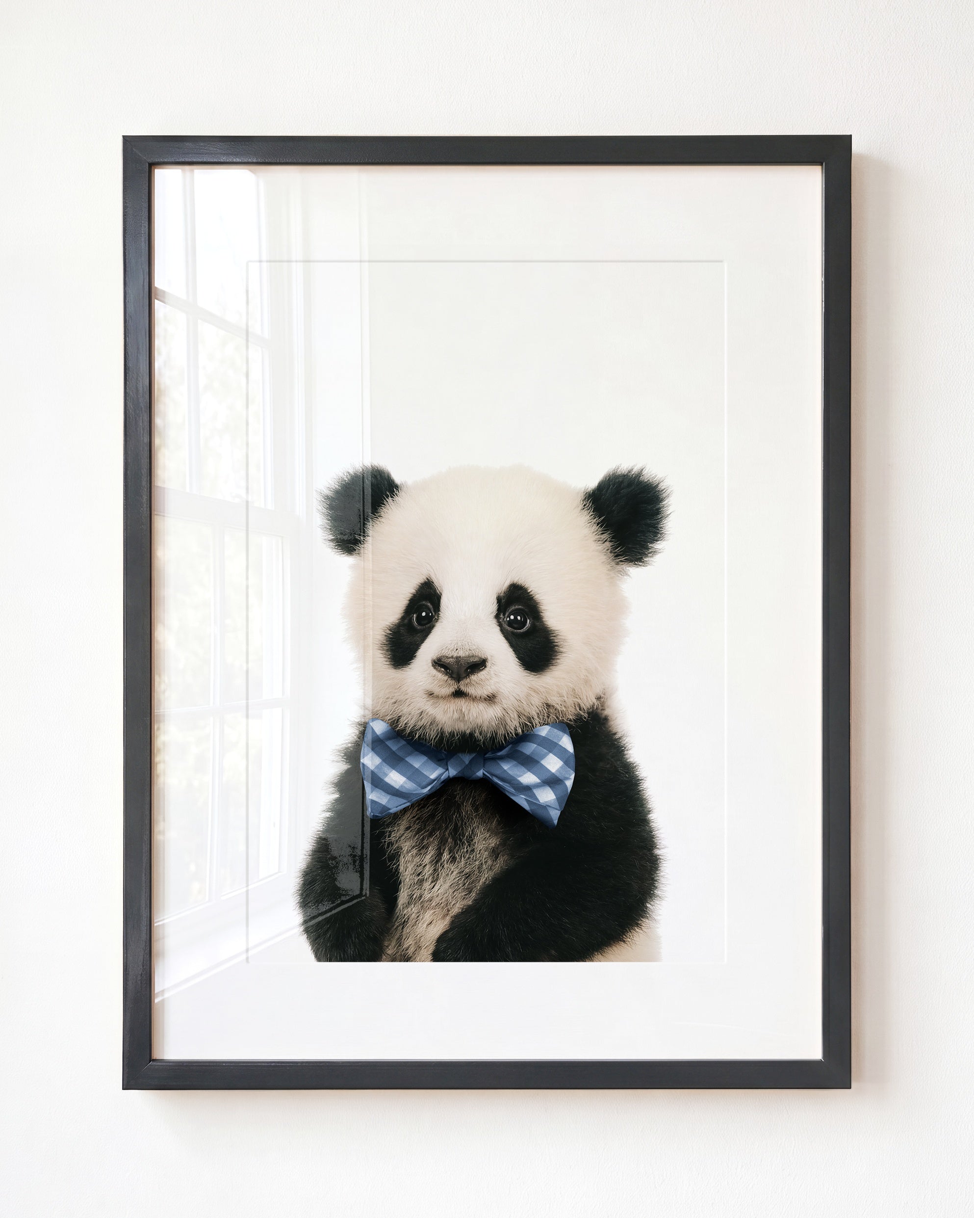Baby Panda
