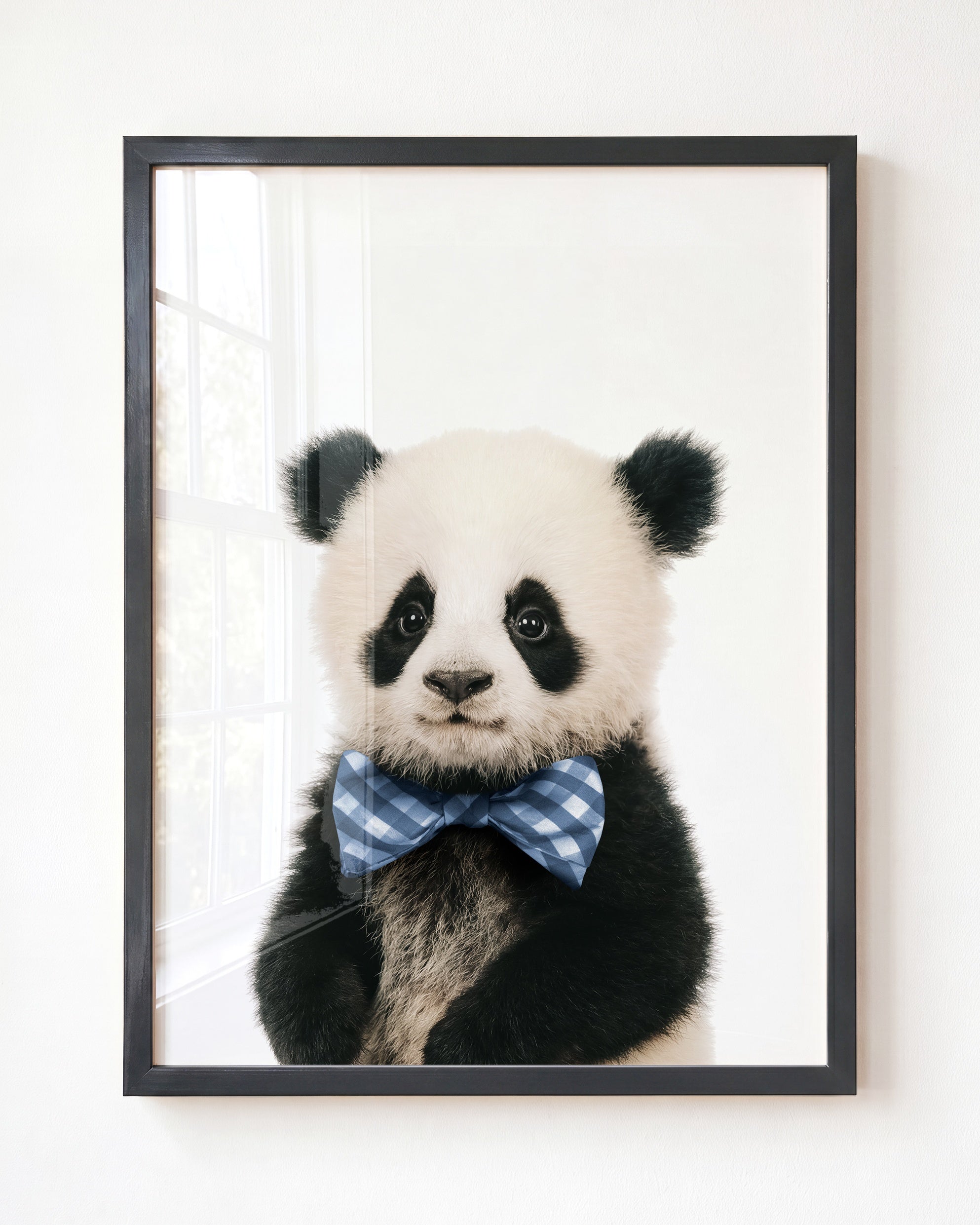 Baby Panda