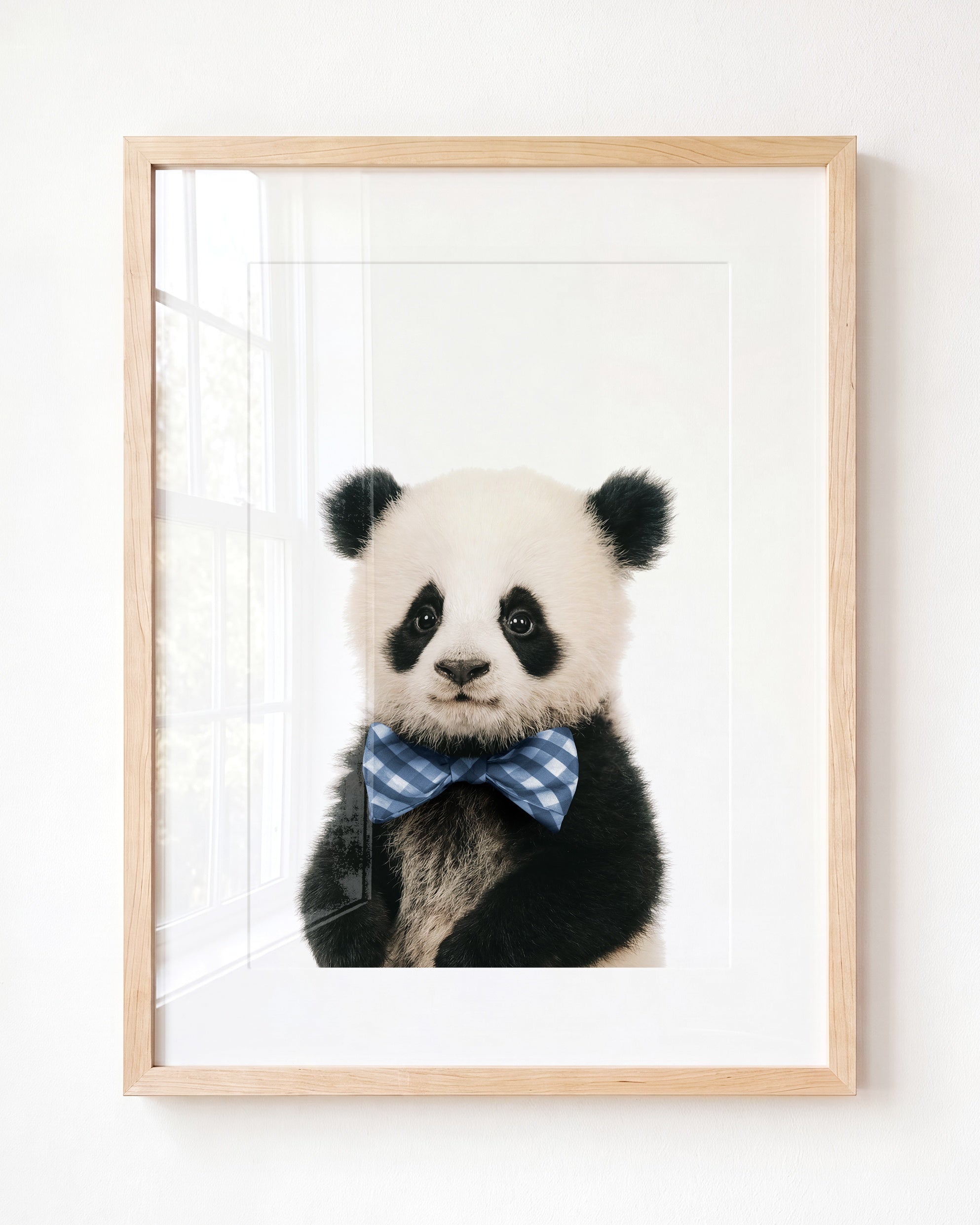 Baby Panda