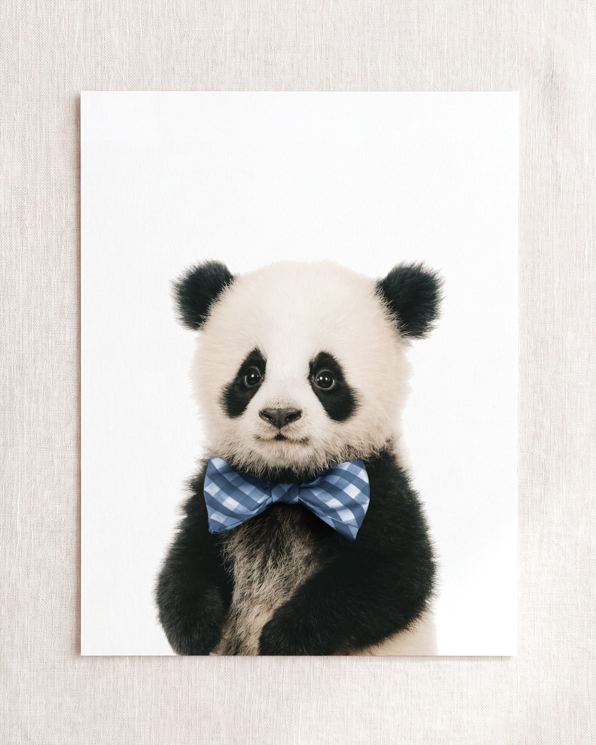 Baby Panda