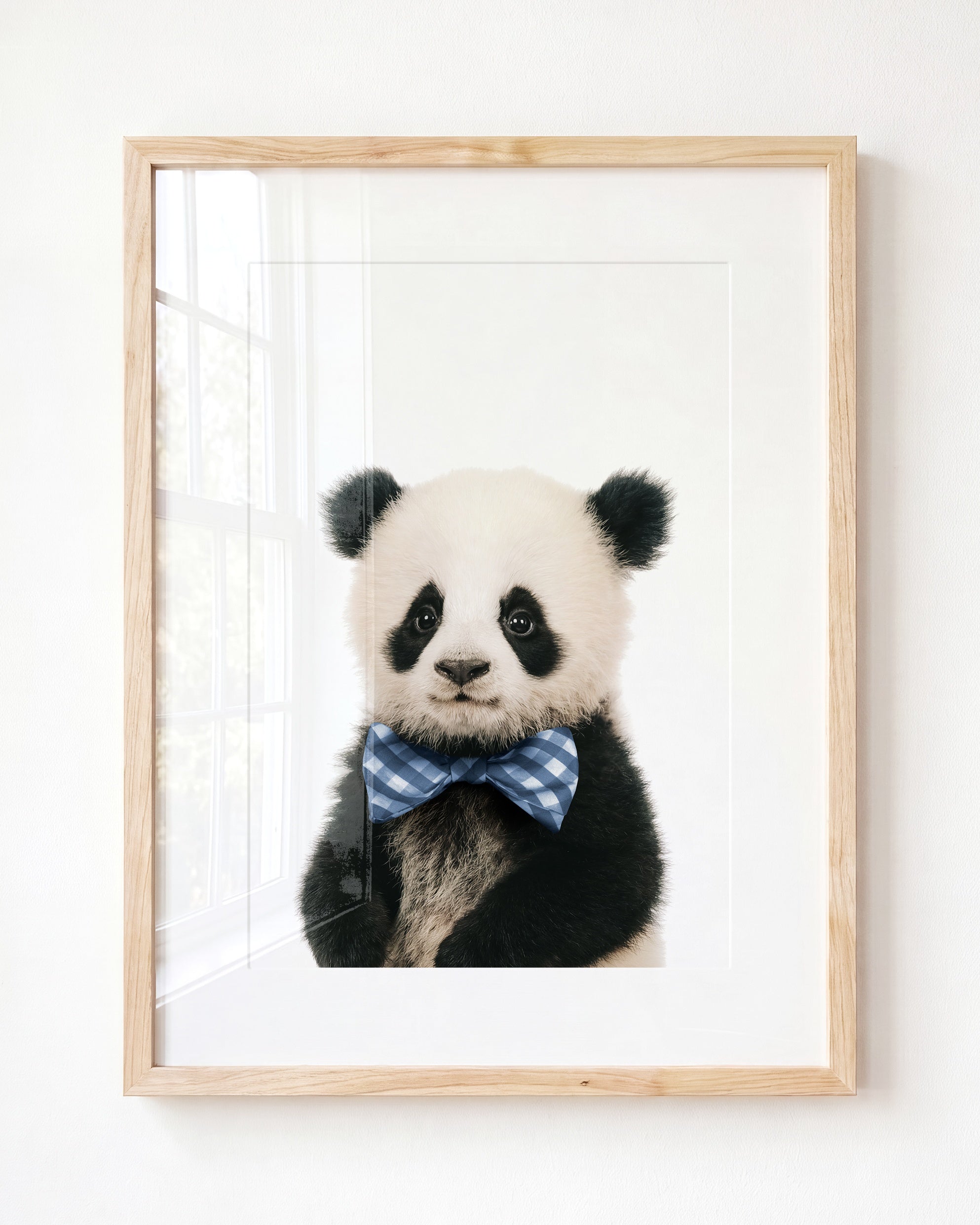 Baby Panda