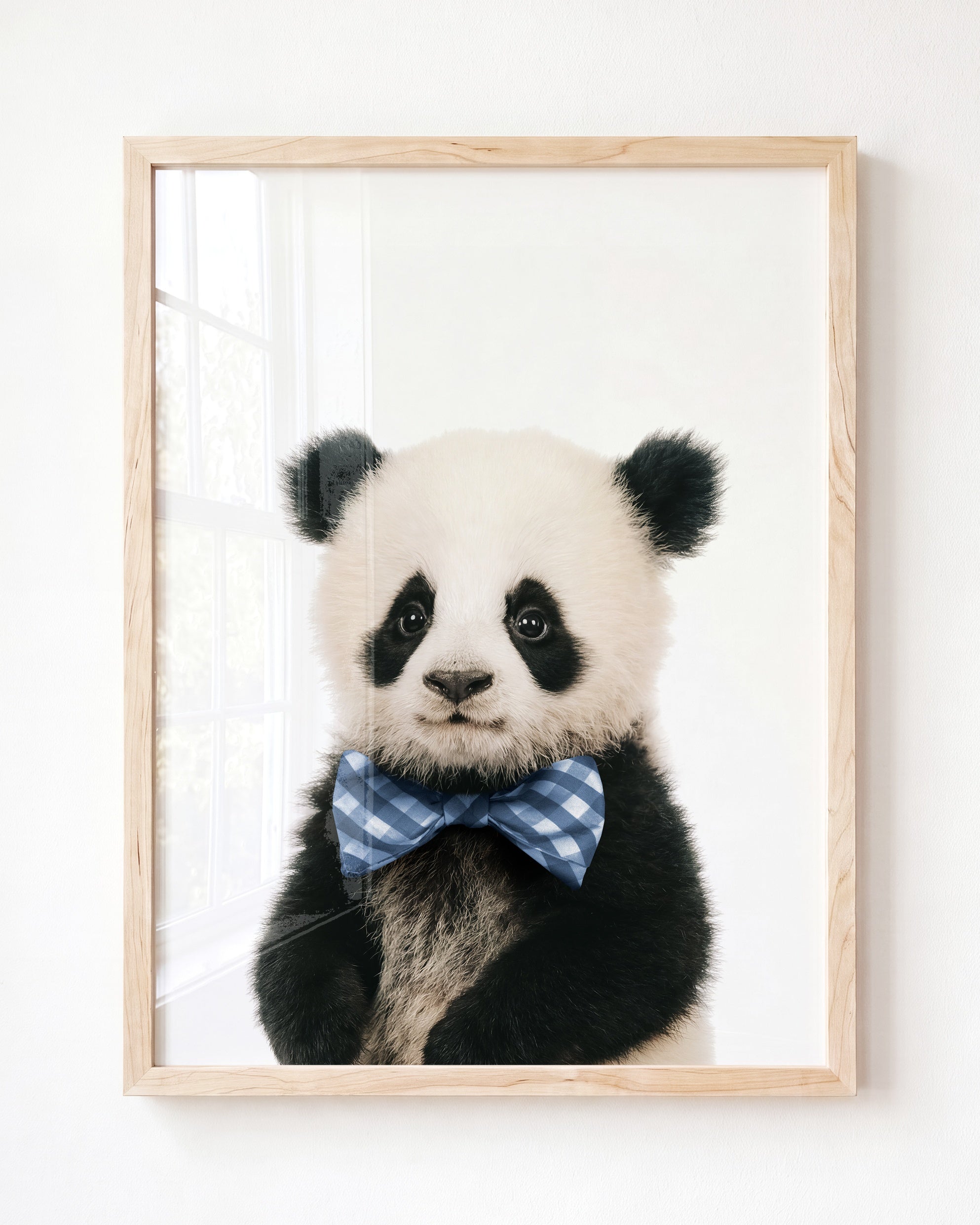 Baby Panda