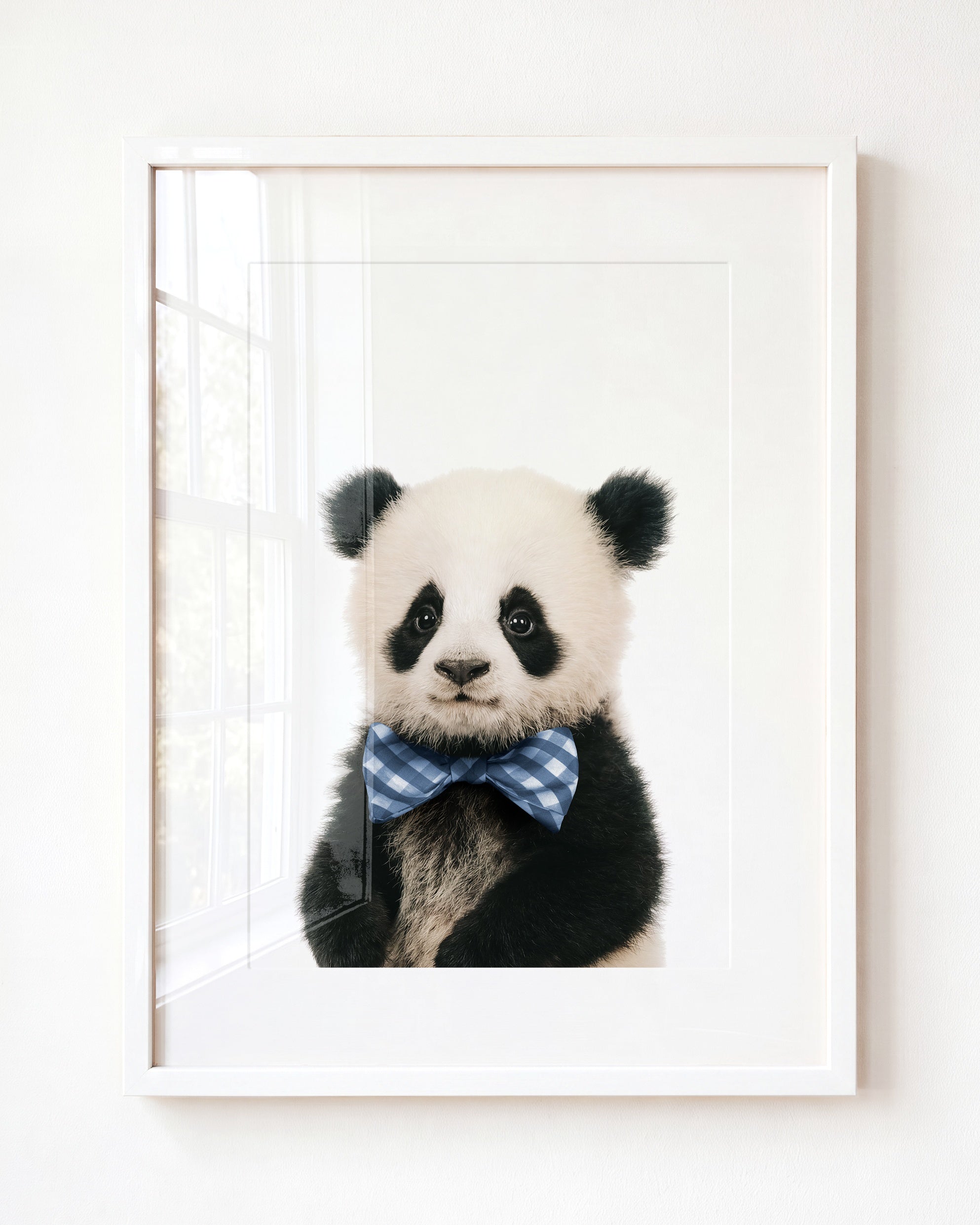 Baby Panda