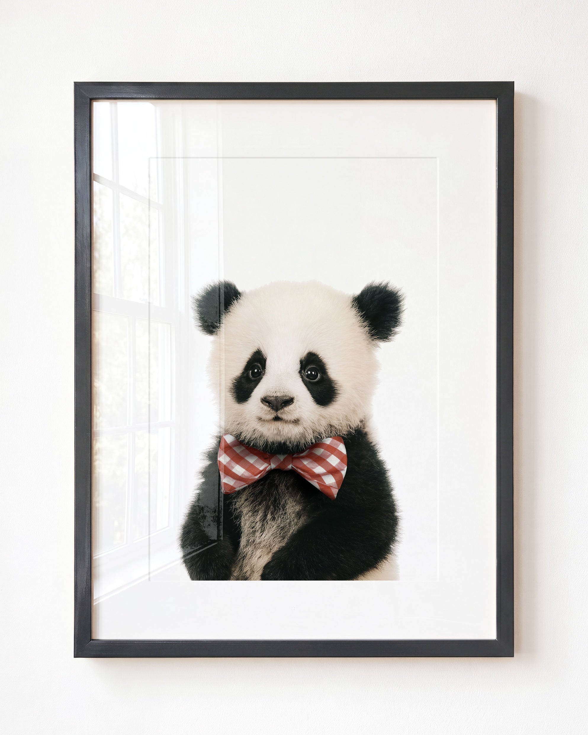 Baby Panda