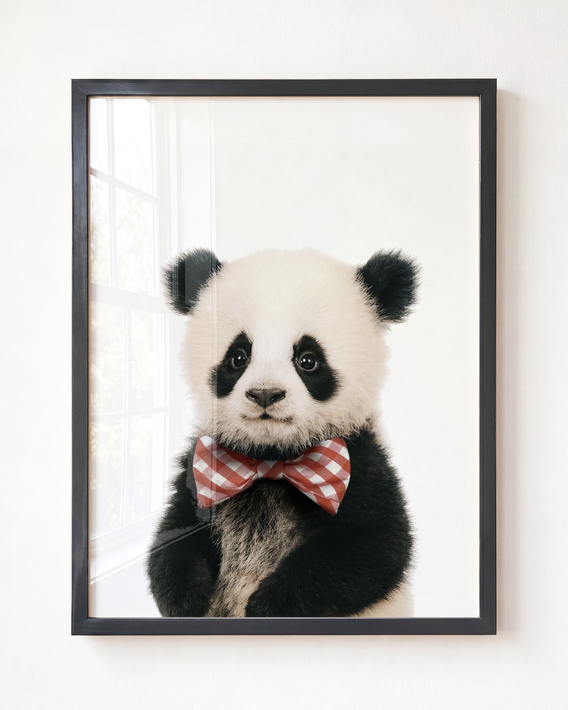 Baby Panda