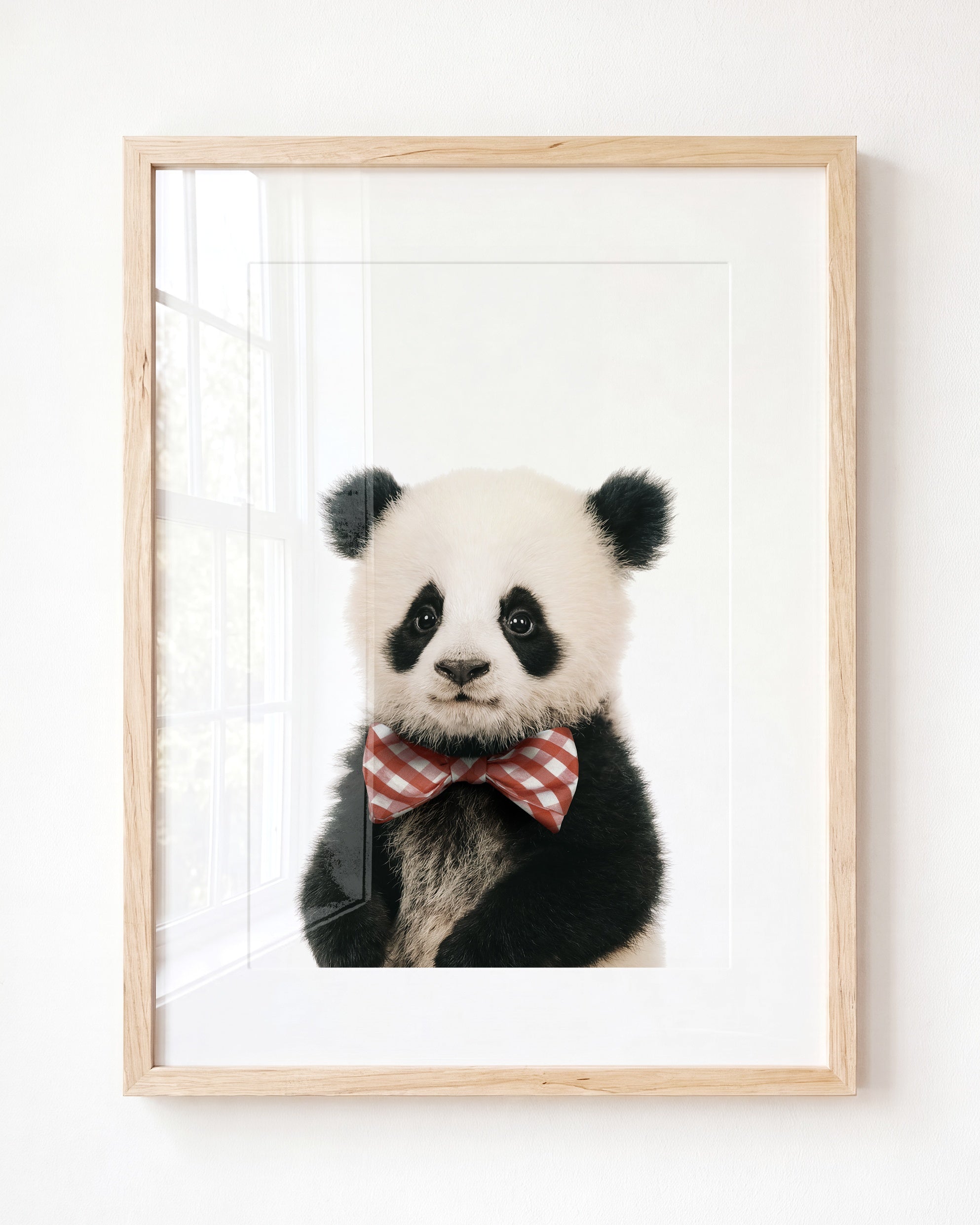 Baby Panda