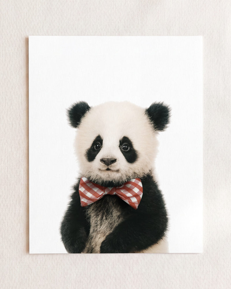 Bow Tie