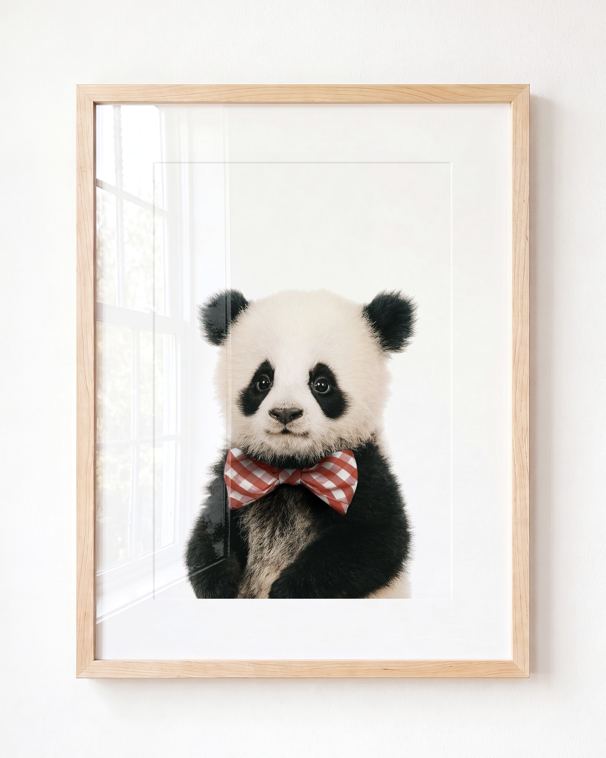 Baby Panda