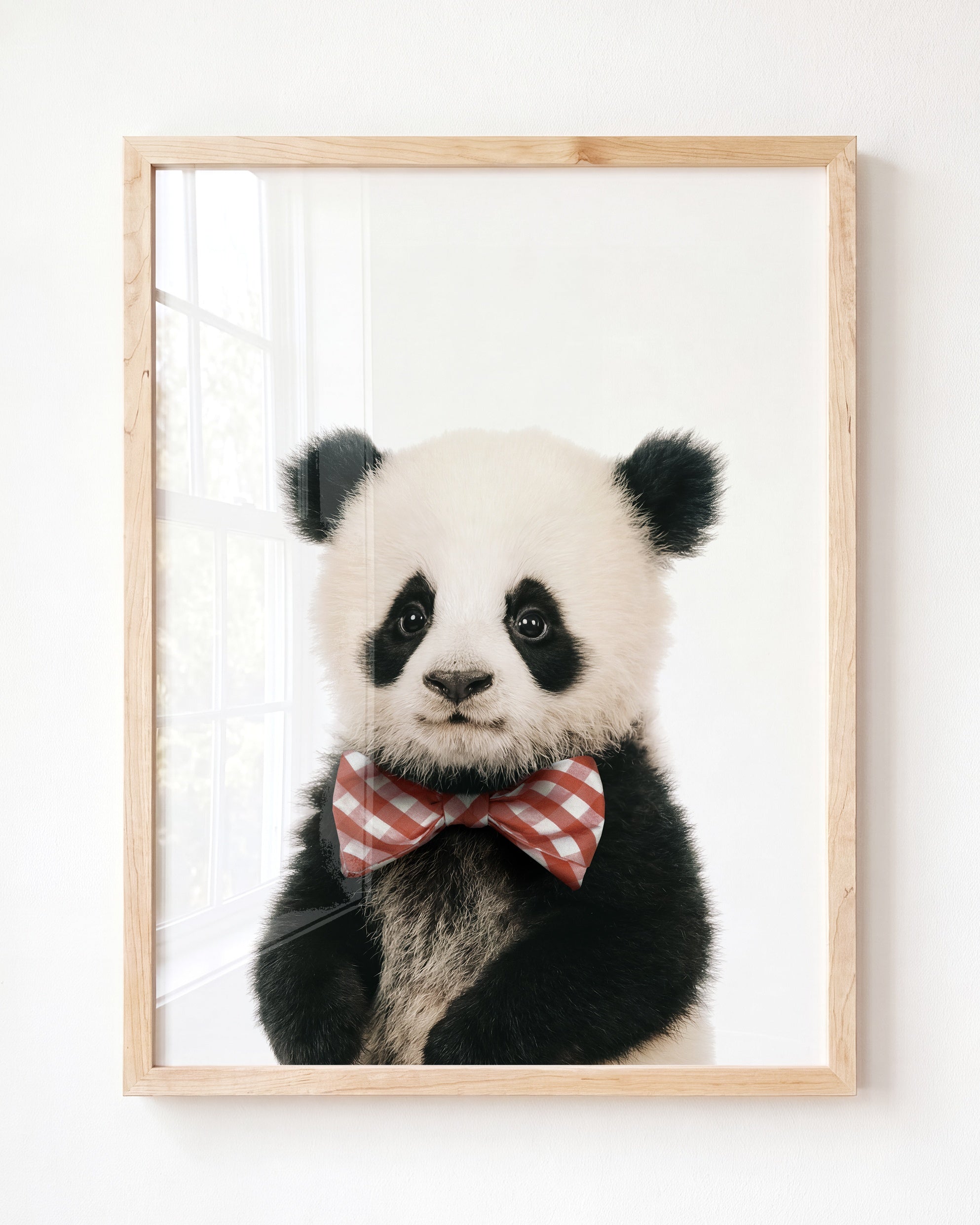 Baby Panda