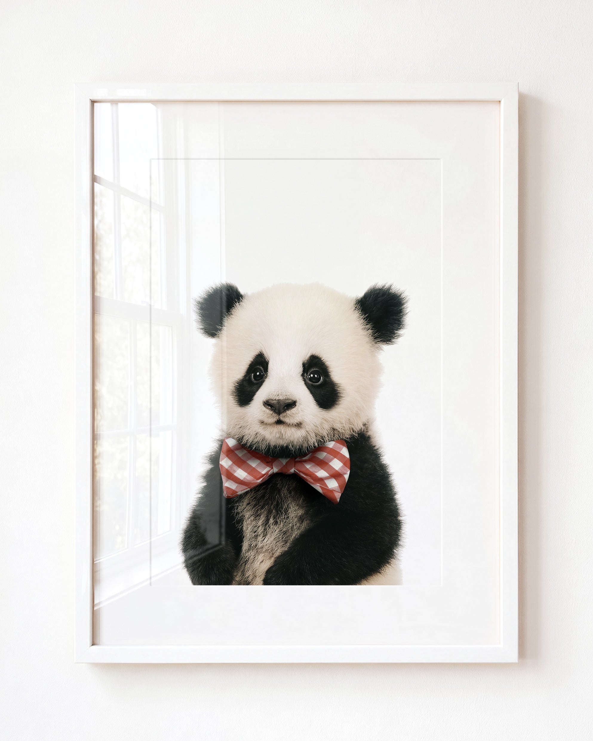 Baby Panda