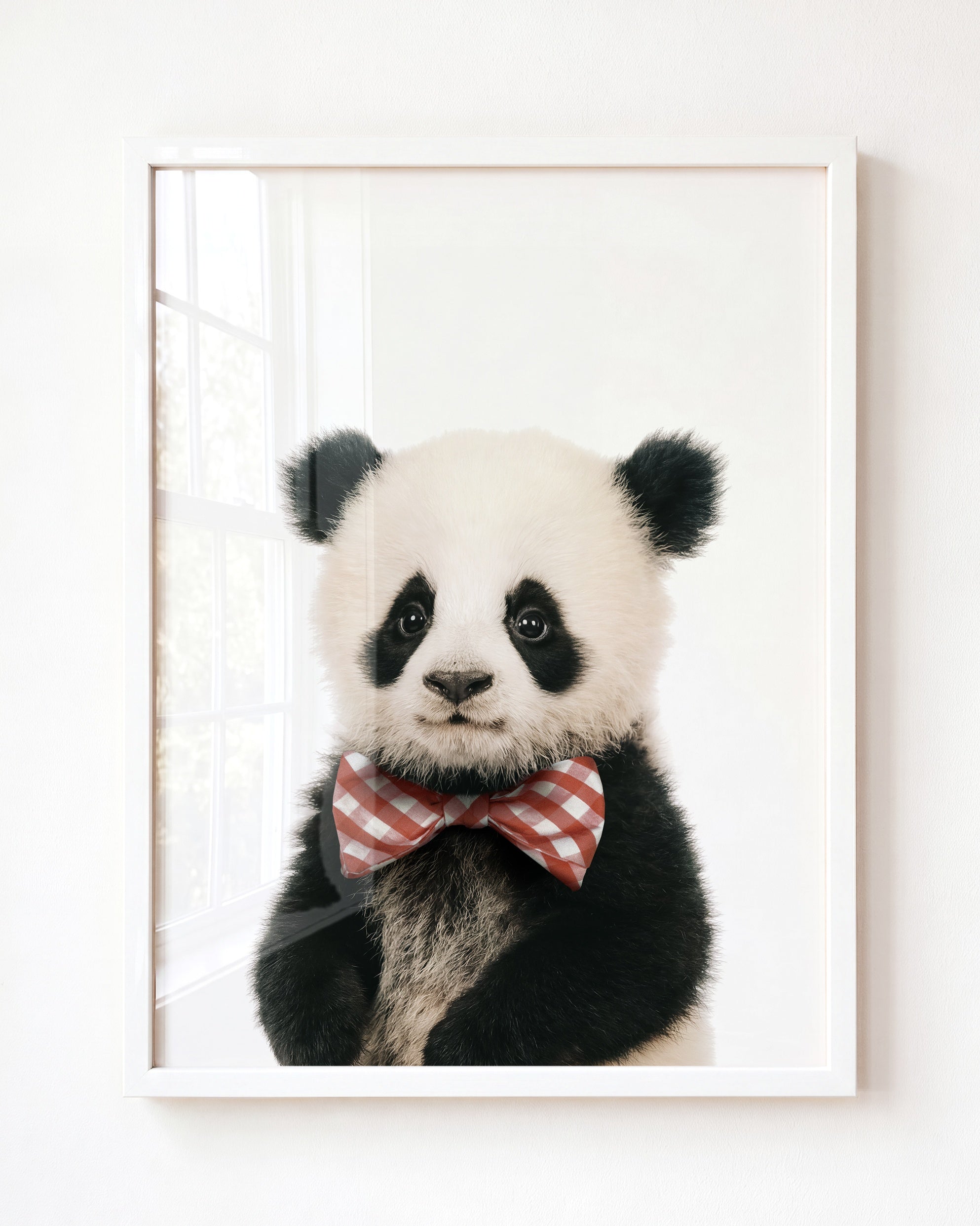 Baby Panda