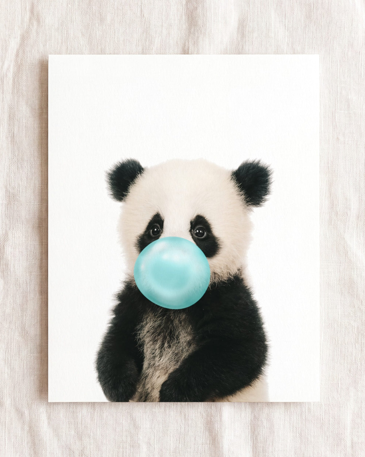 Baby Panda