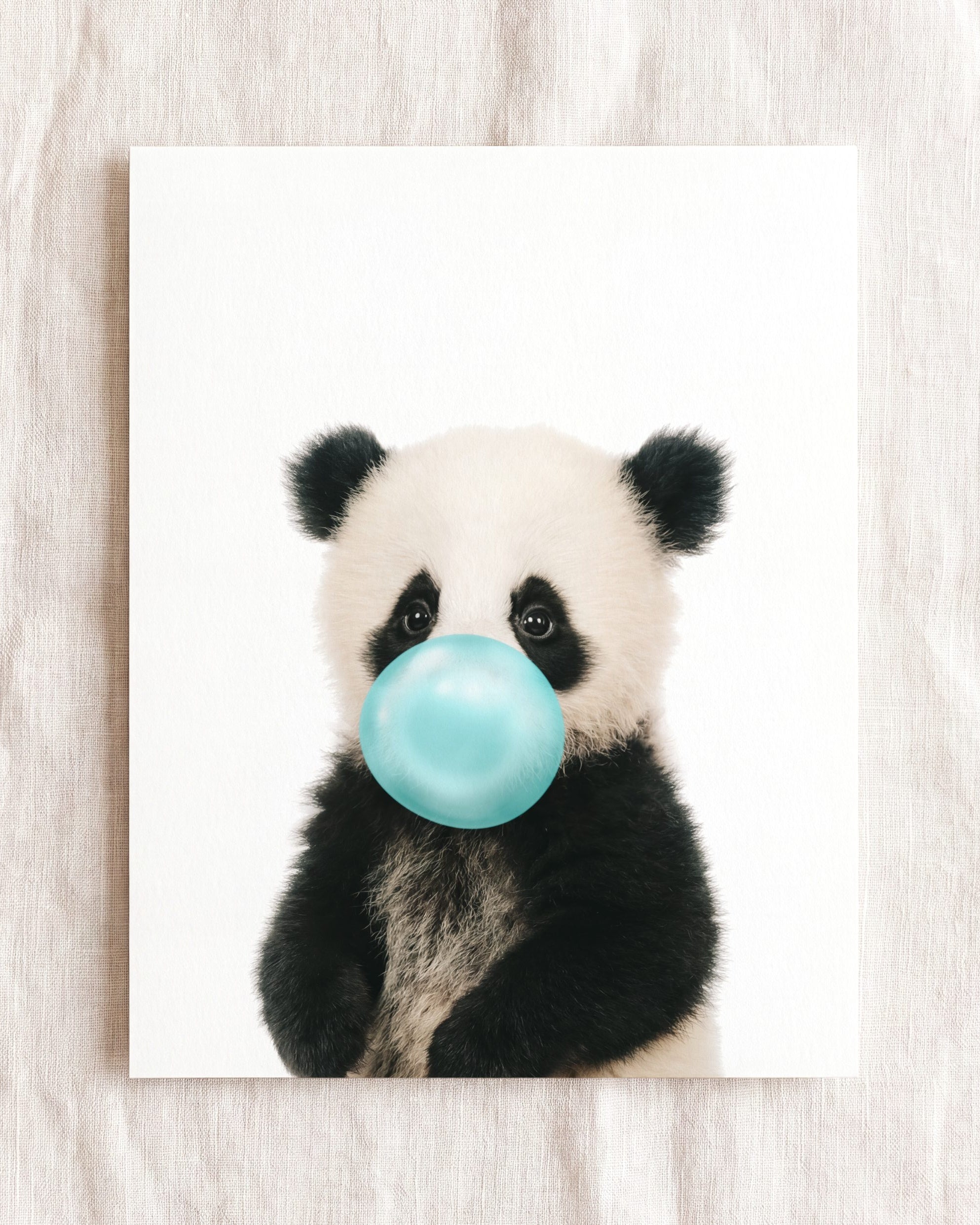 Baby Panda