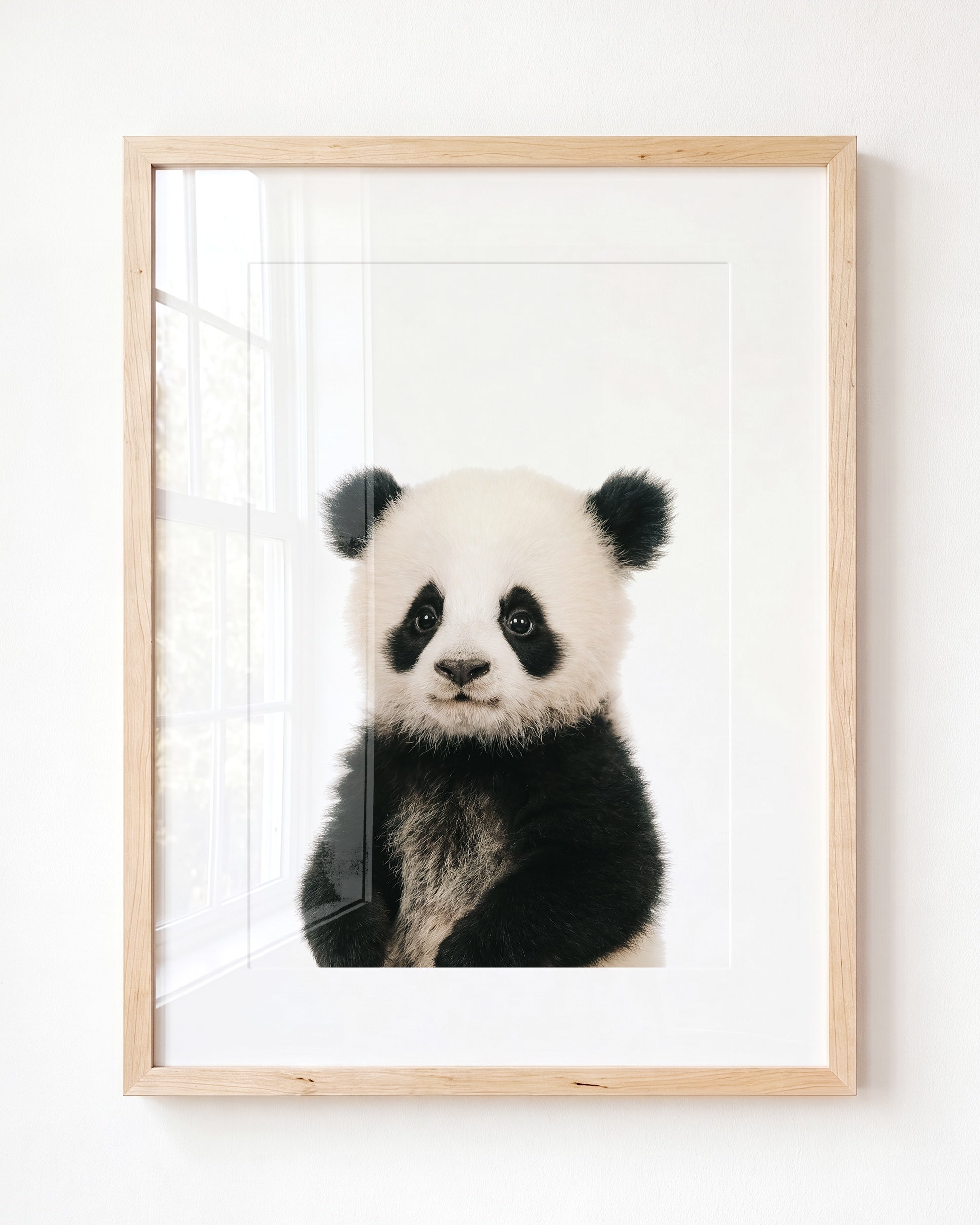 Baby Panda