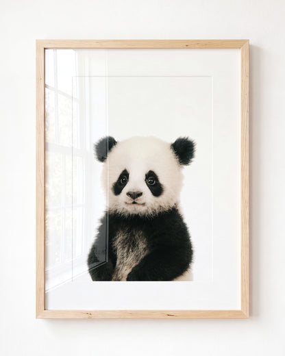 Baby Panda