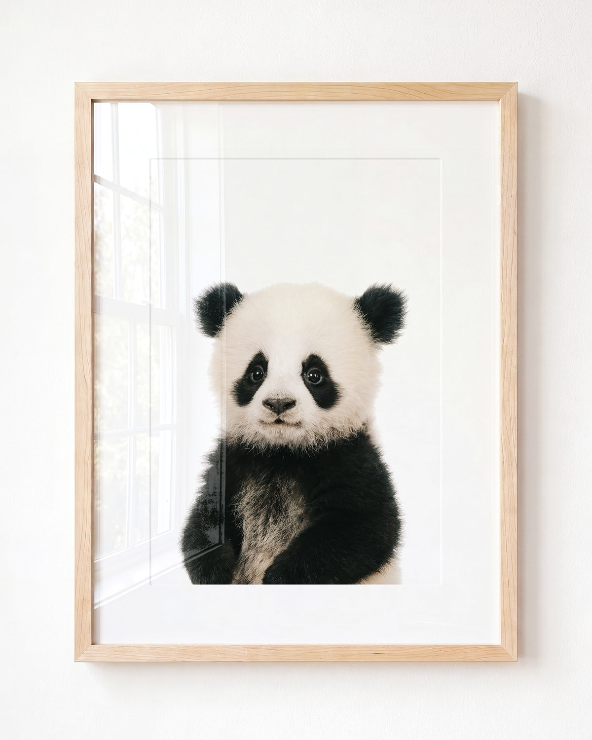 Baby Panda - Framed Art