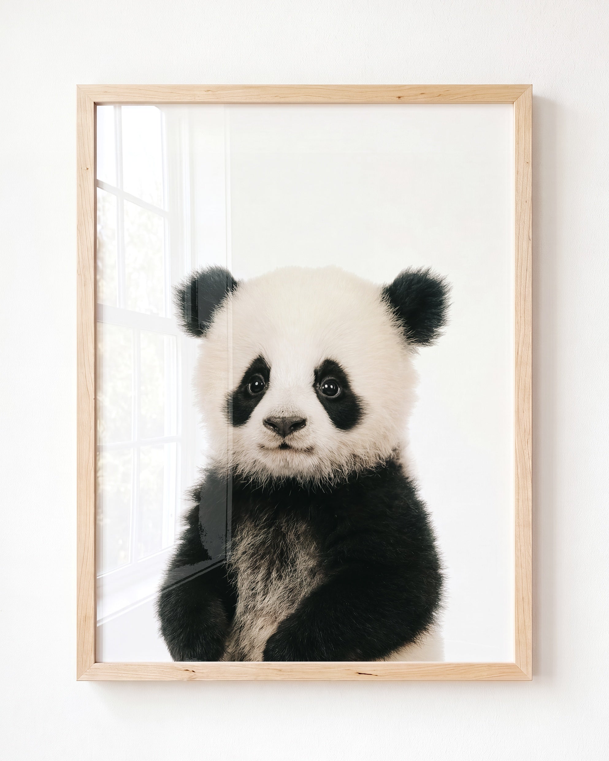 Baby Panda