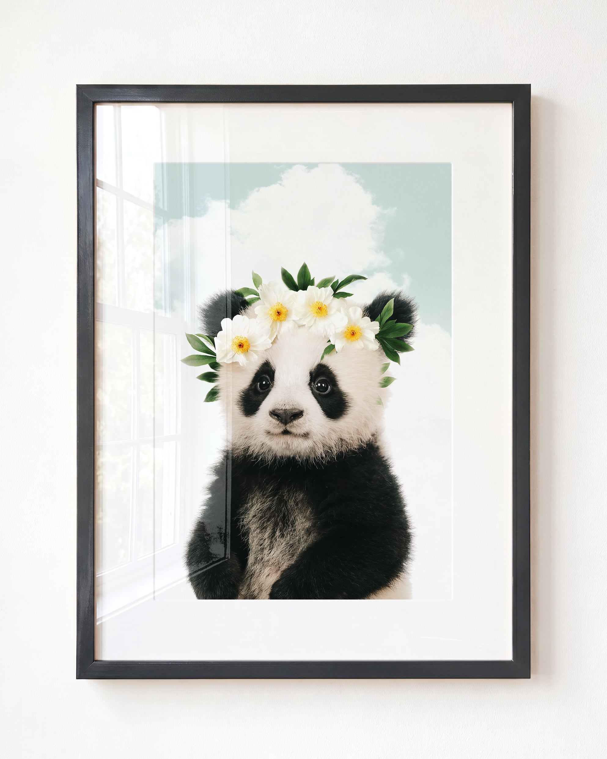 Baby Panda