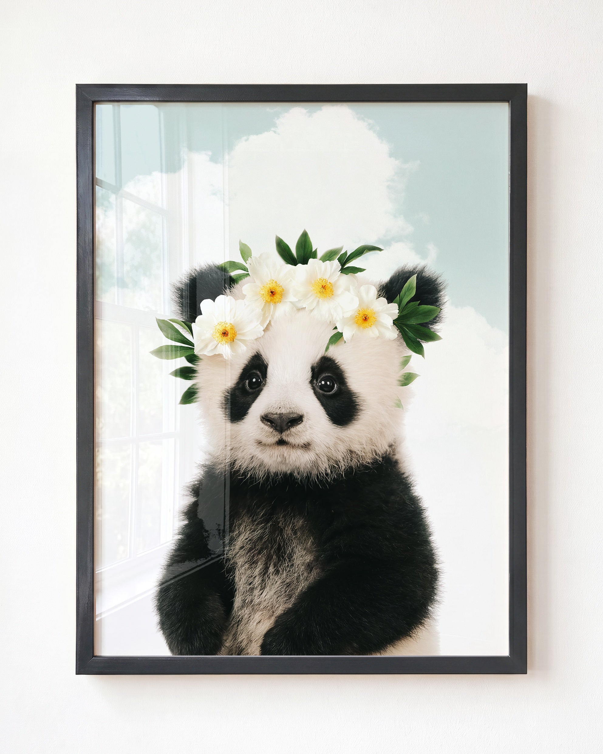 Baby Panda