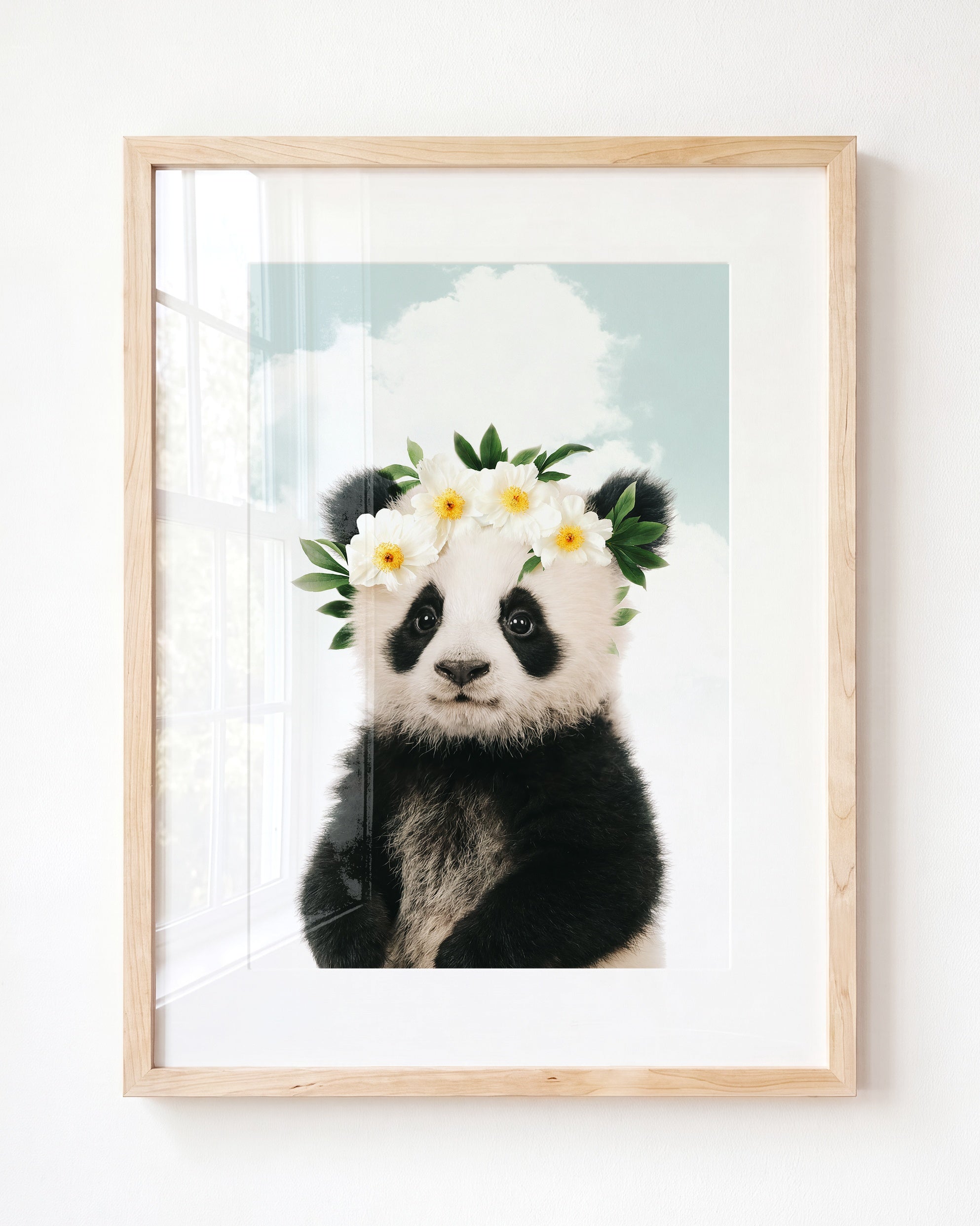 Baby Panda