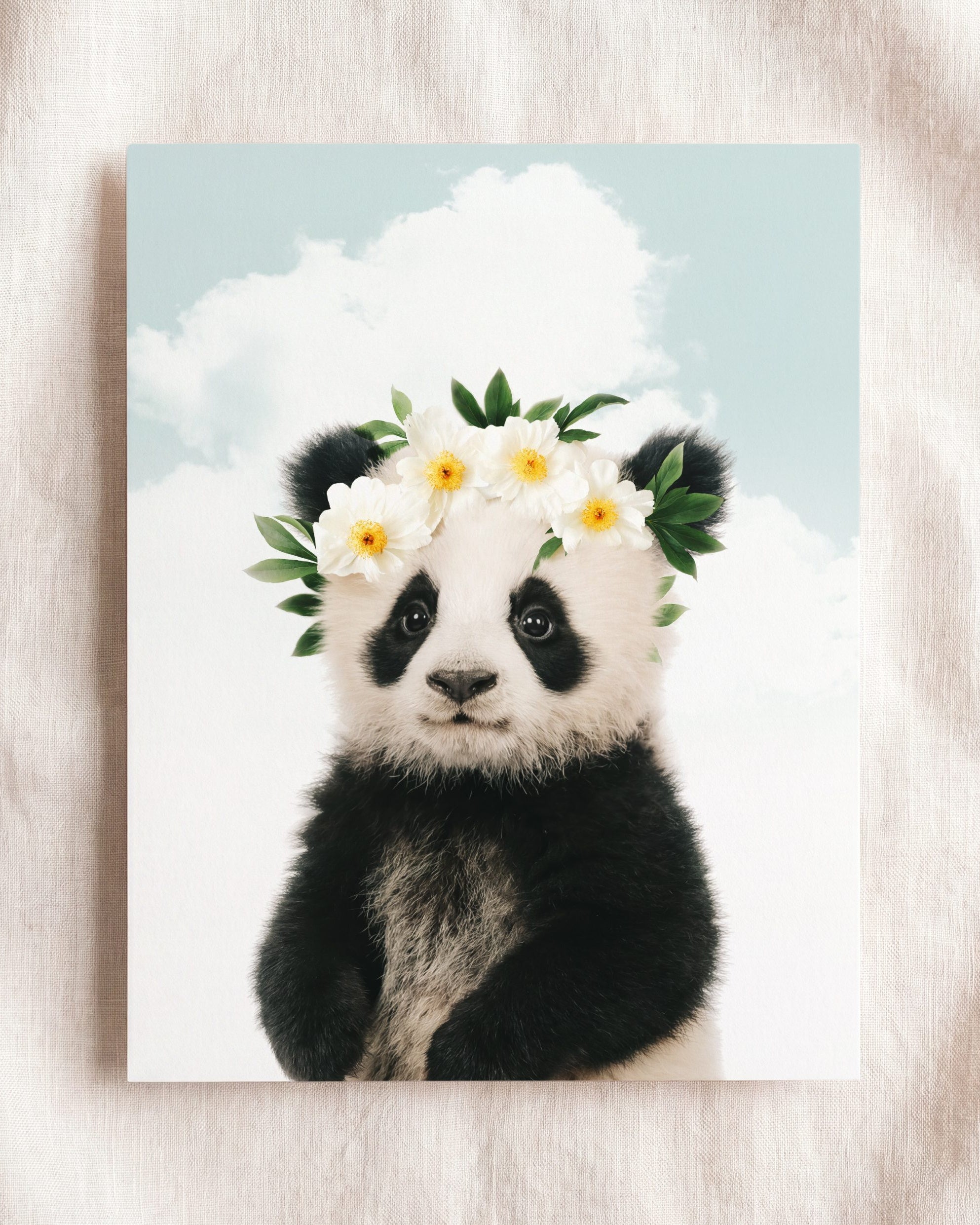 Baby Panda