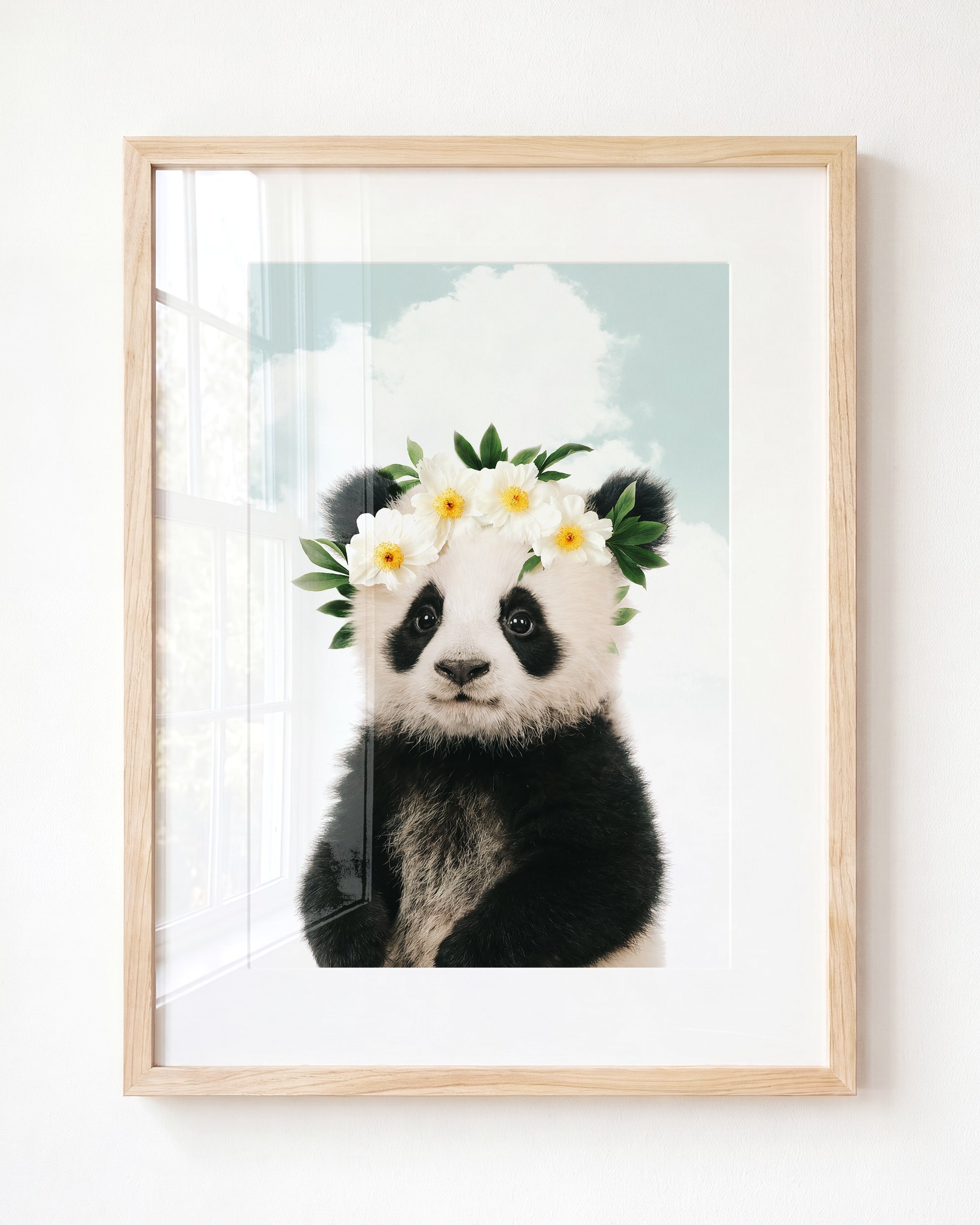 Baby Panda