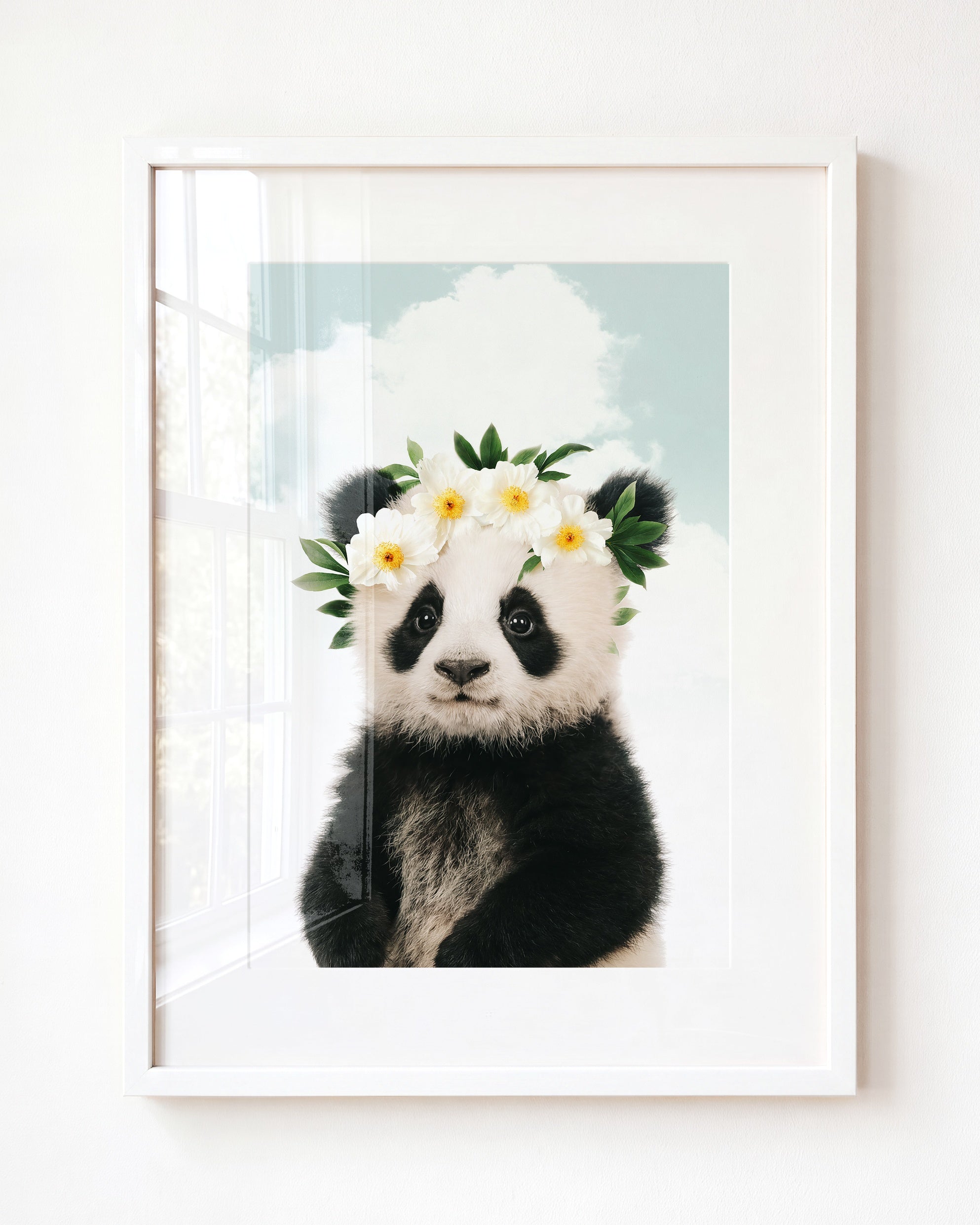 Baby Panda