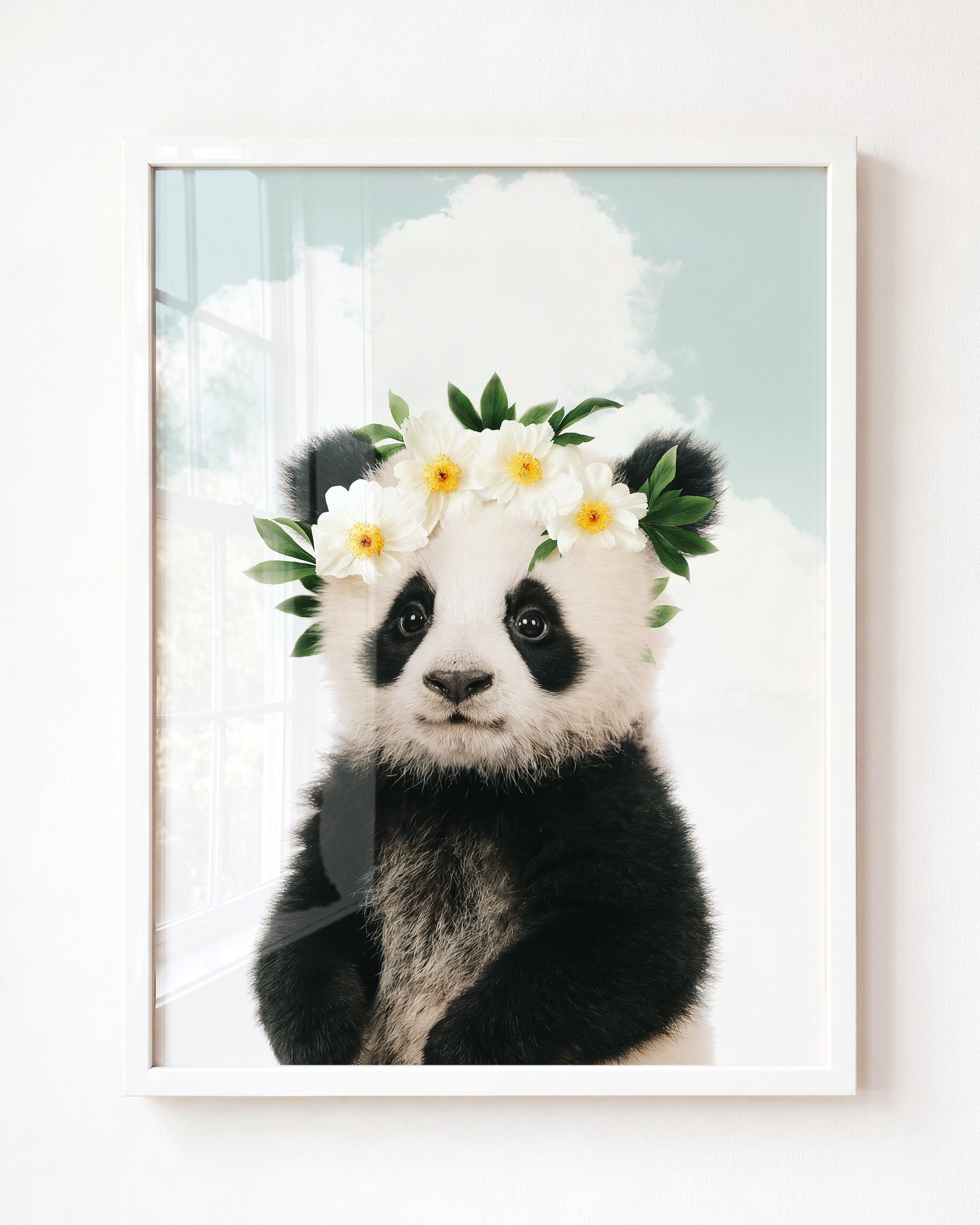 Baby Panda