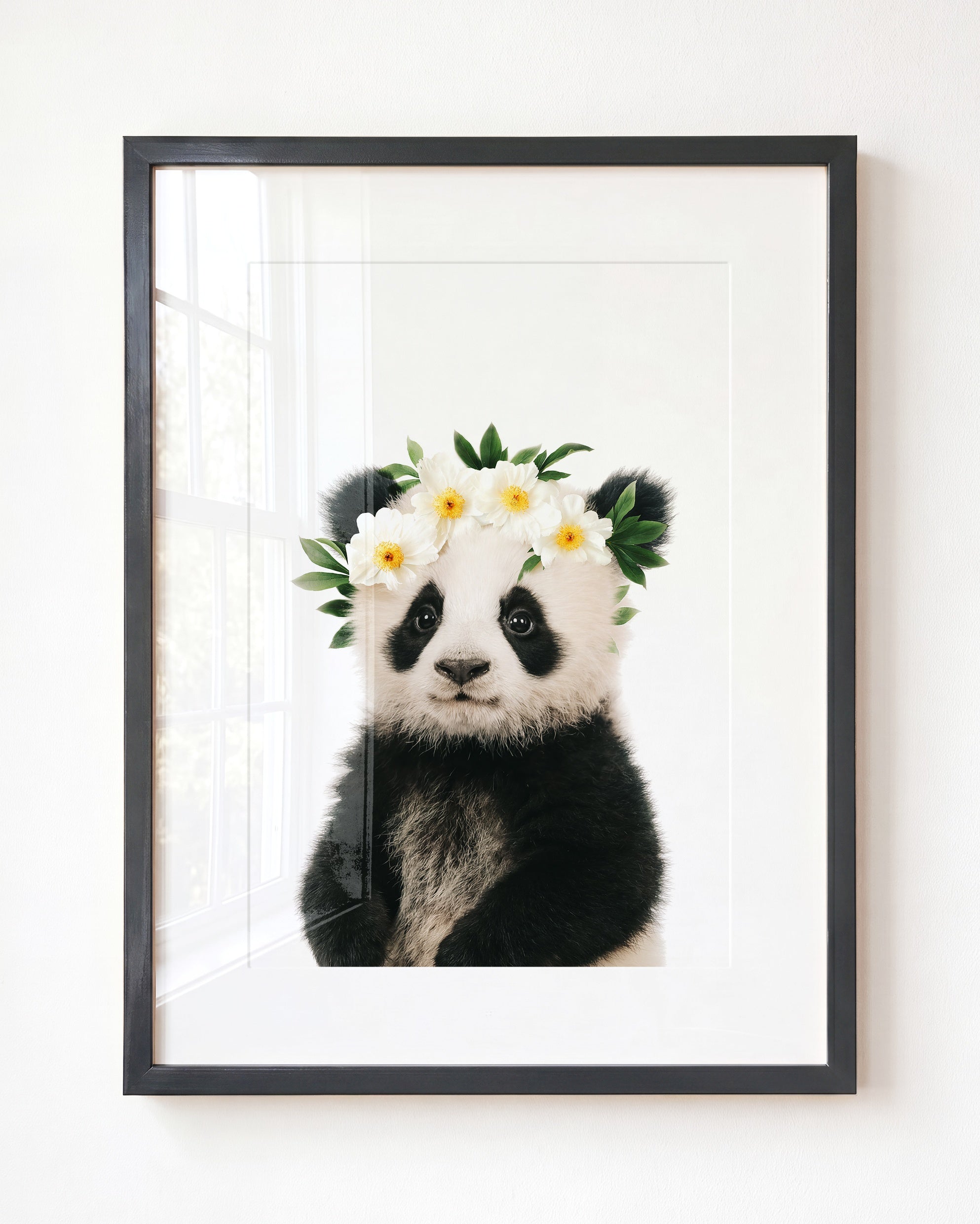 Baby Panda