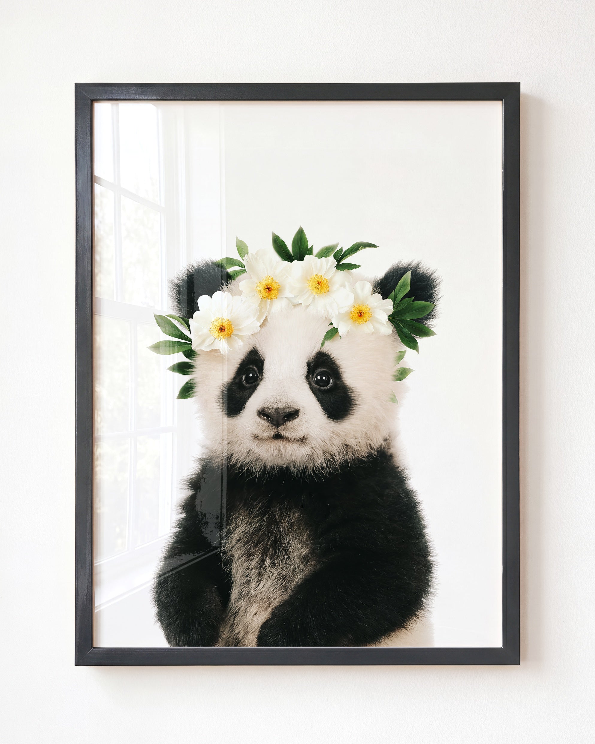 Baby Panda