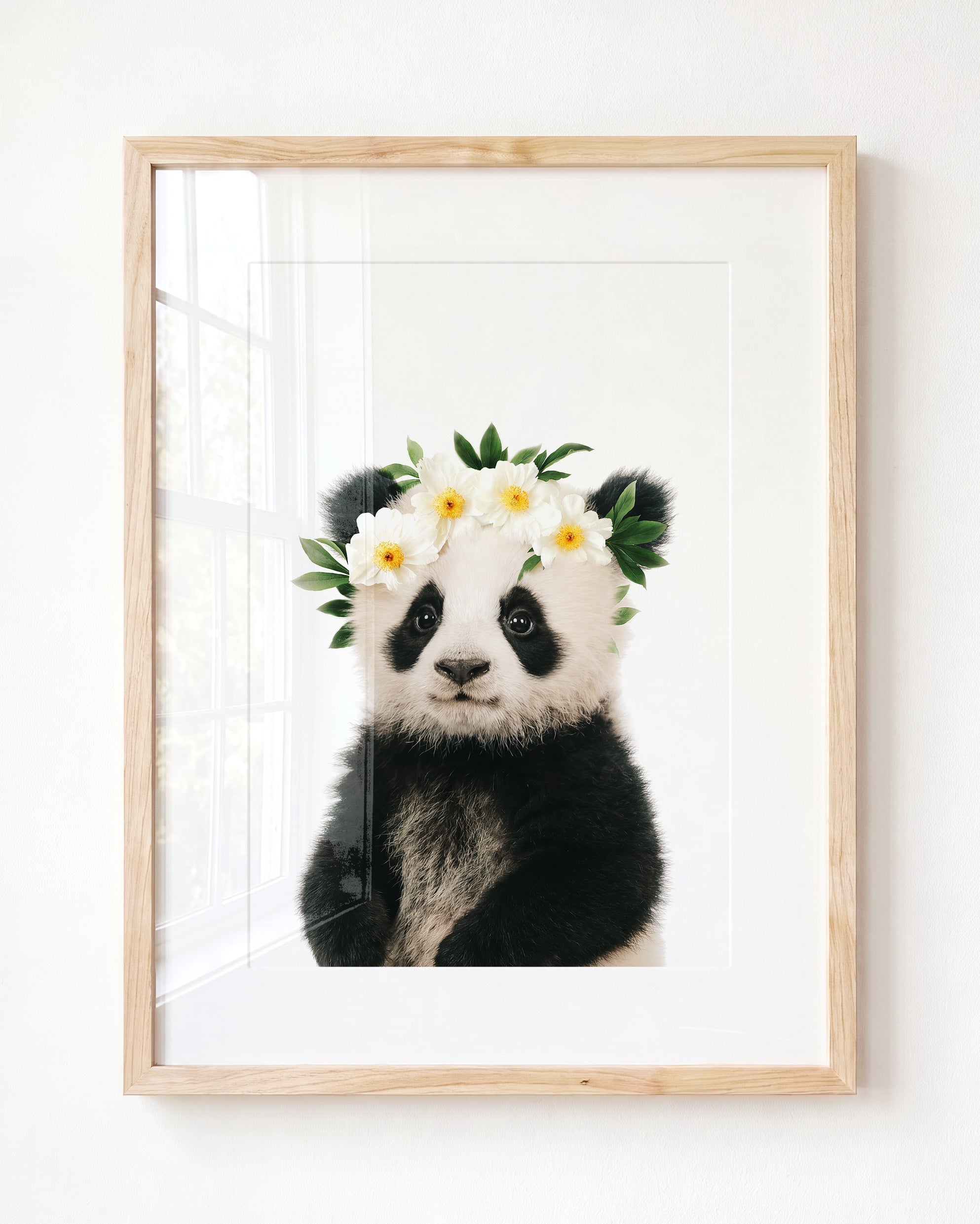 Baby Panda