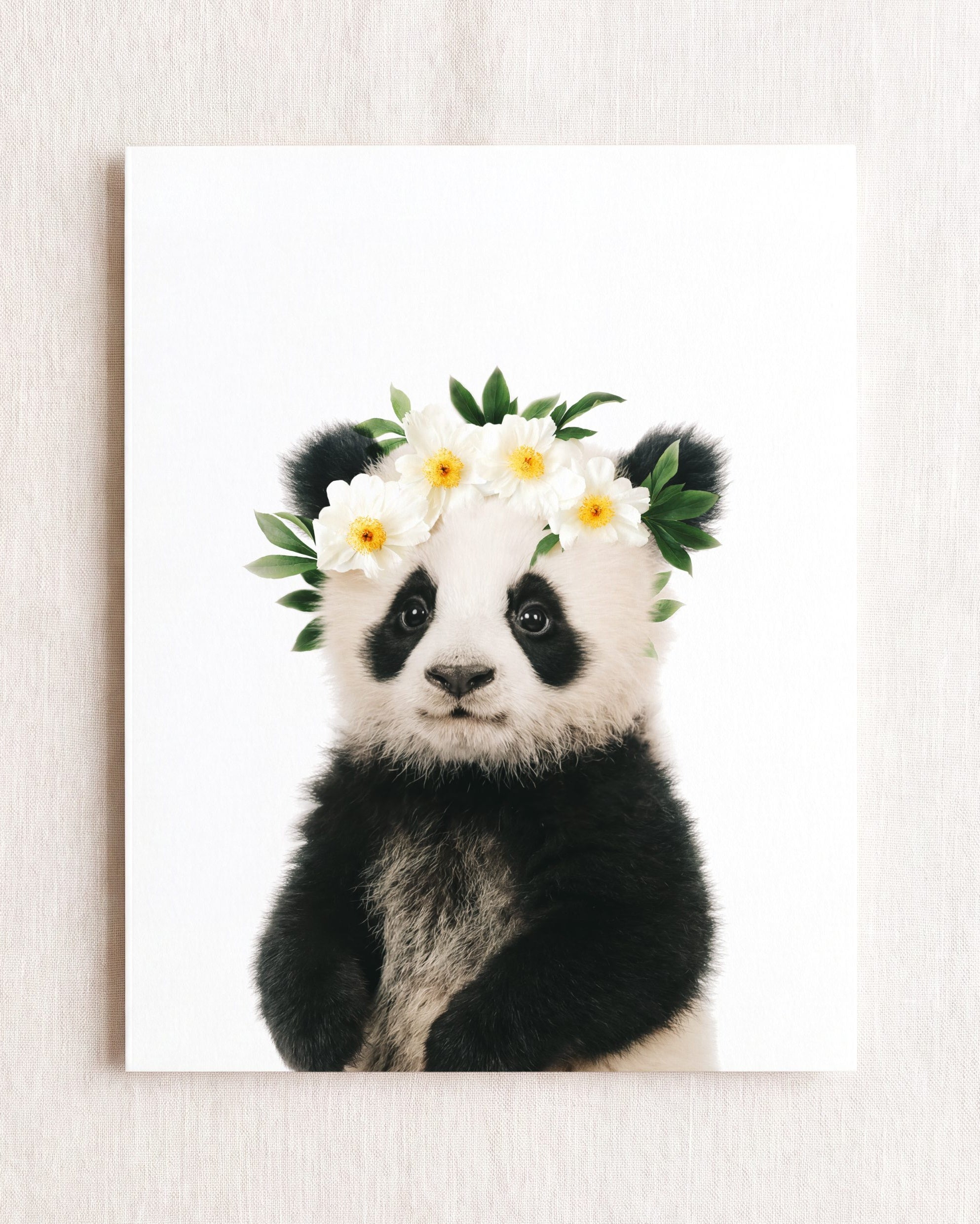 Baby Panda