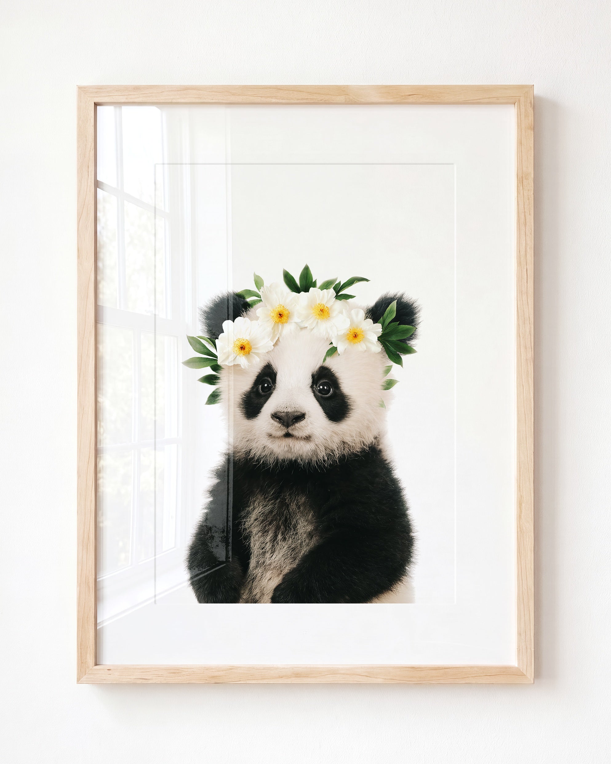 Baby Panda